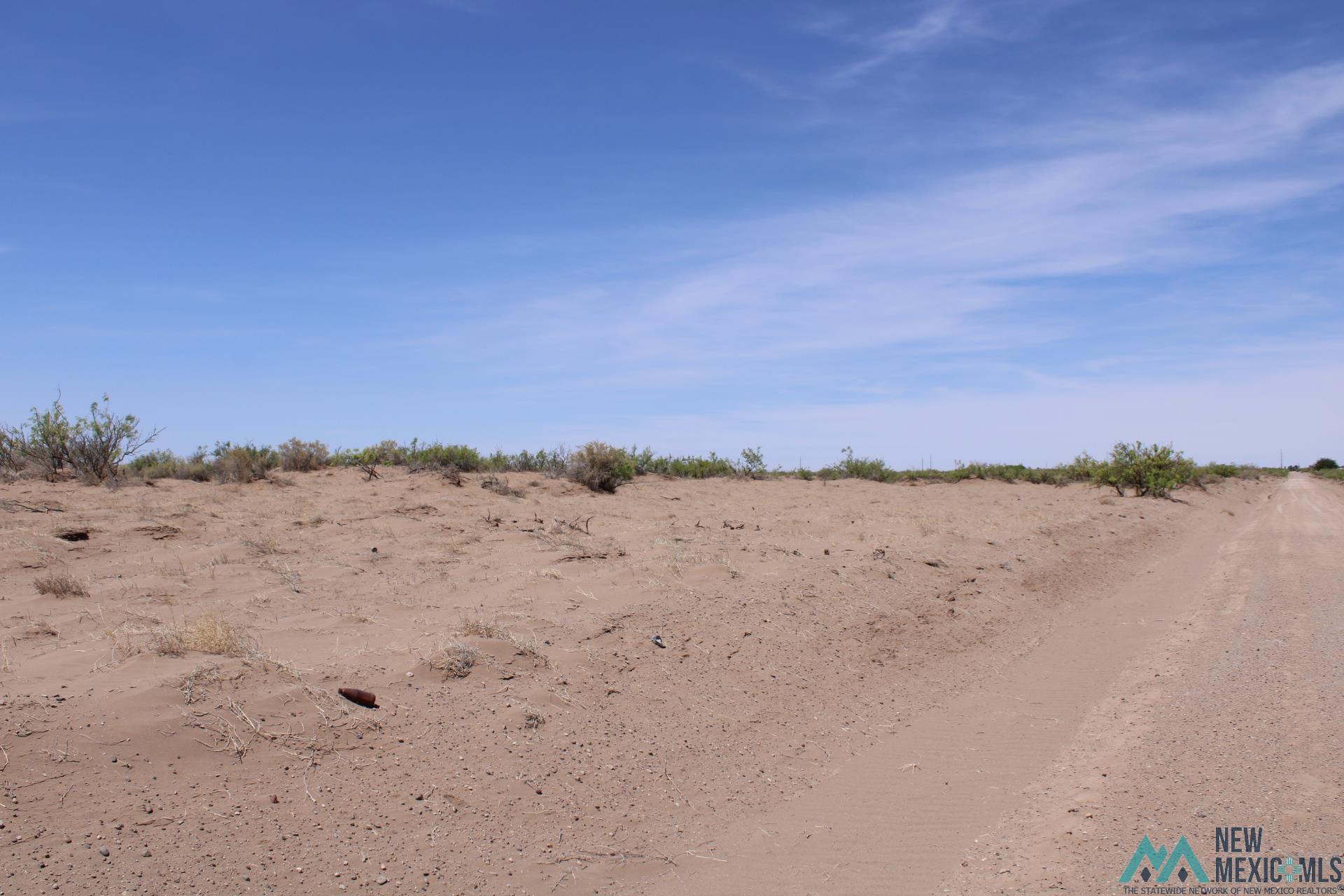 Roja Rd Sw, Deming, New Mexico image 3