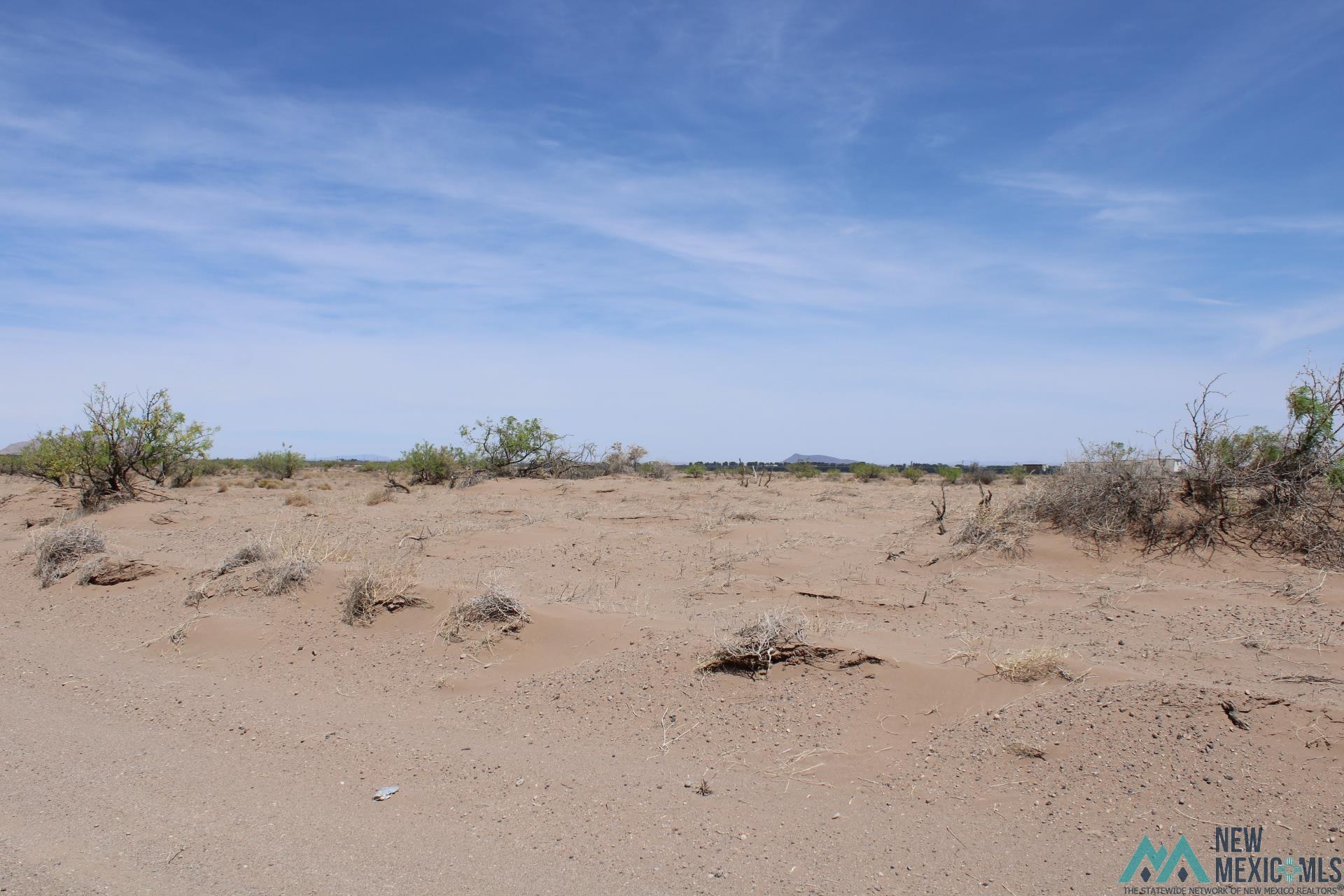 Roja Rd Sw, Deming, New Mexico image 5