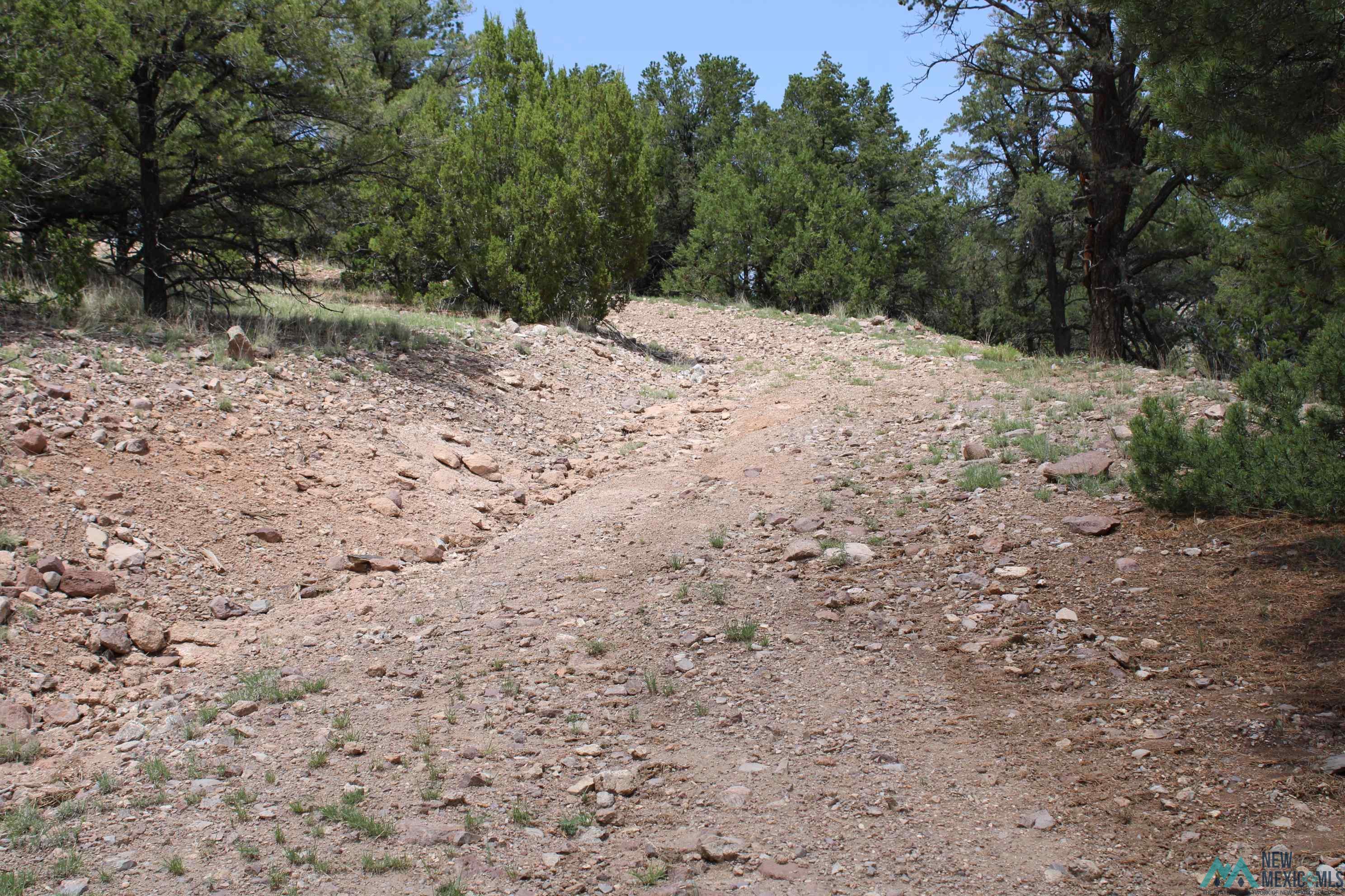 Elk Haven Forest Road 234, Magdalena, Texas image 34