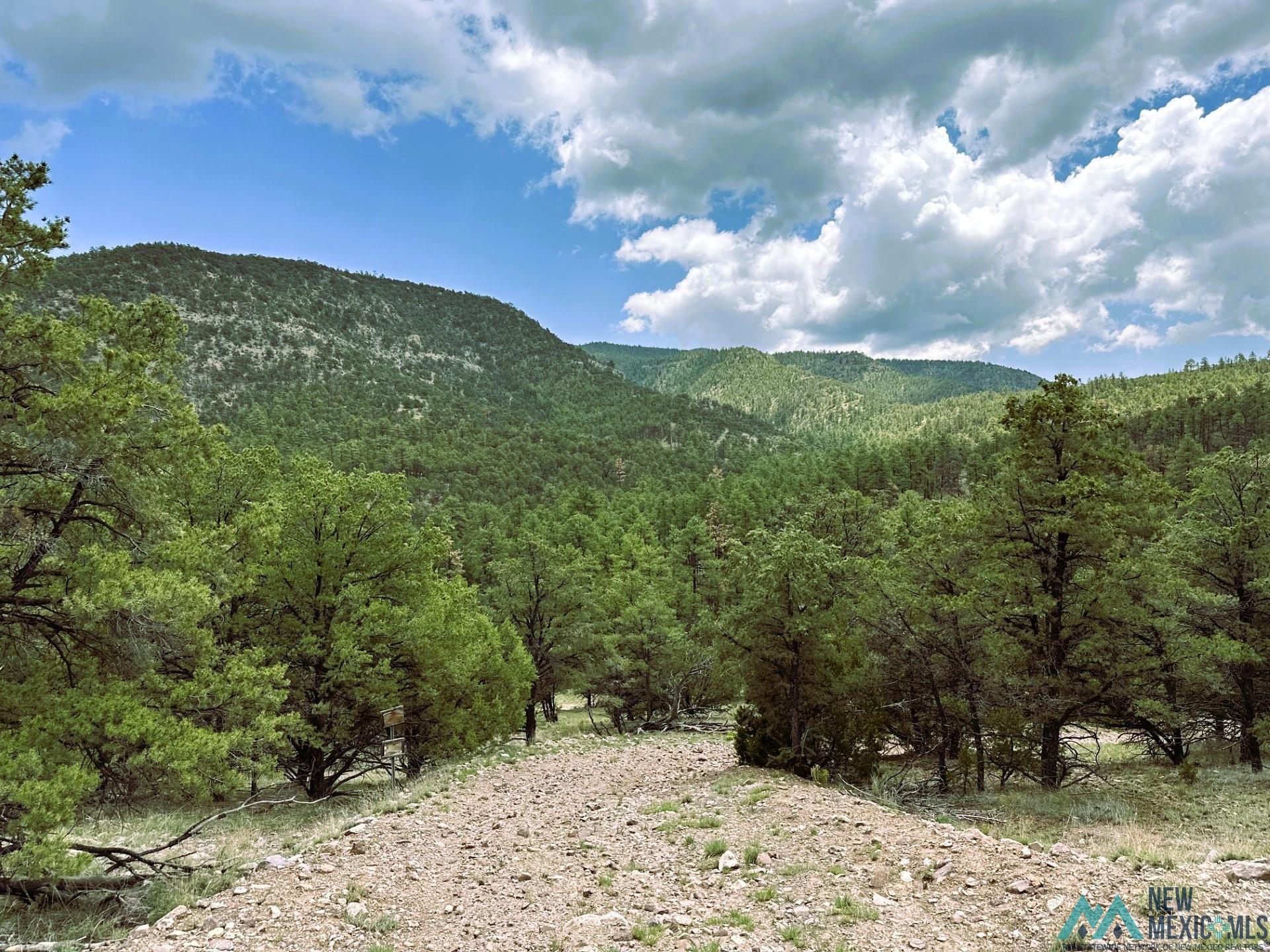 Elk Haven Forest Road 234, Magdalena, Texas image 1