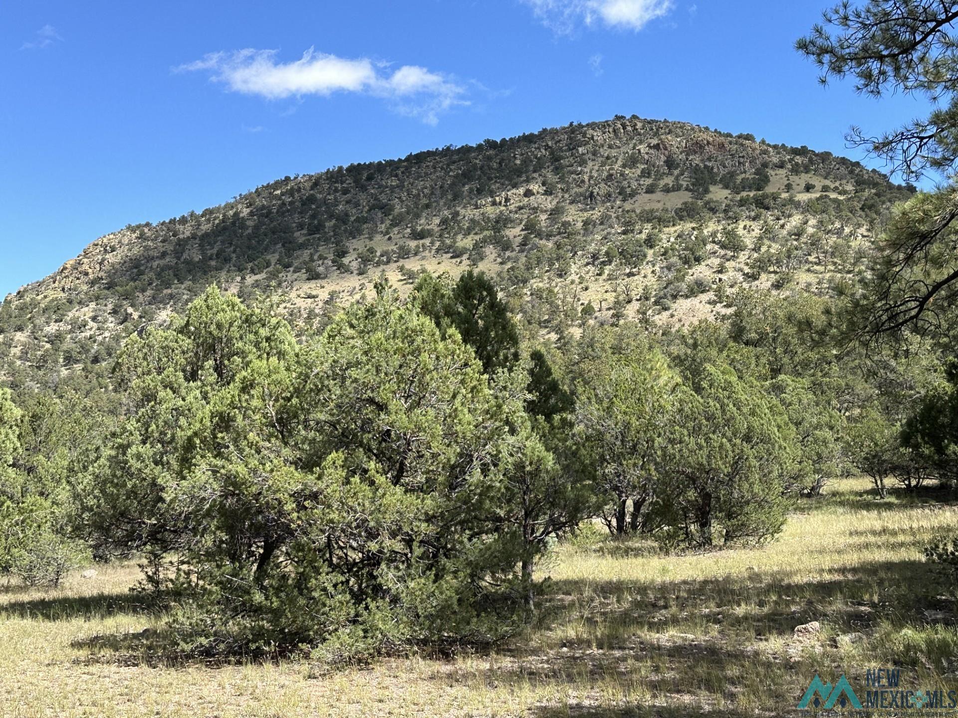 Elk Haven Forest Road 234, Magdalena, Texas image 30