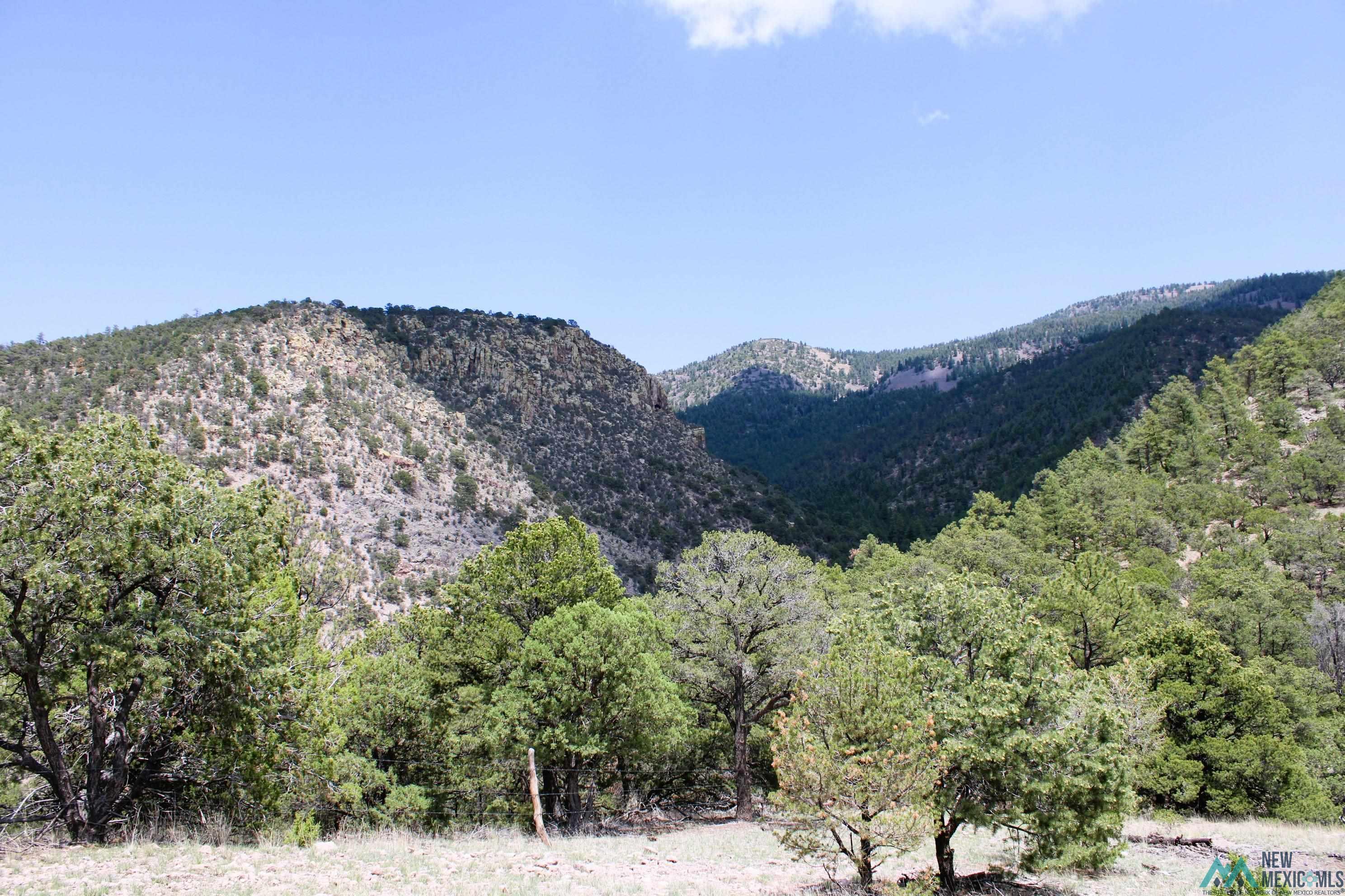 Elk Haven Forest Road 234, Magdalena, Texas image 7