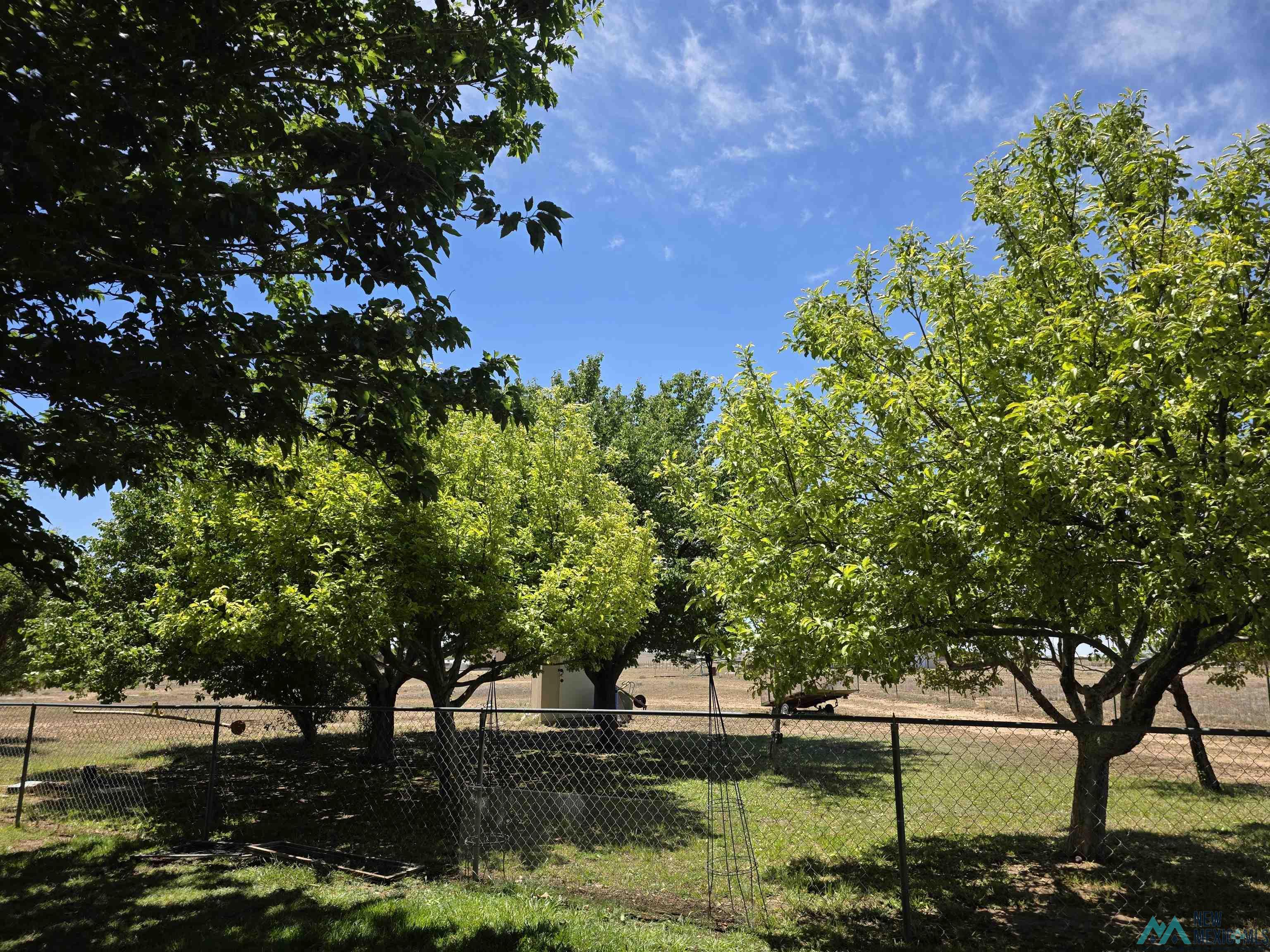 5216 Beargrass Road, Roswell, Texas image 10