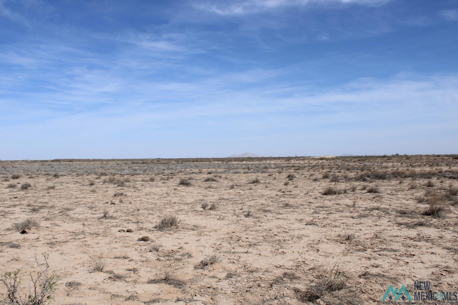 Polk Rd Sw, Deming, New Mexico image 1