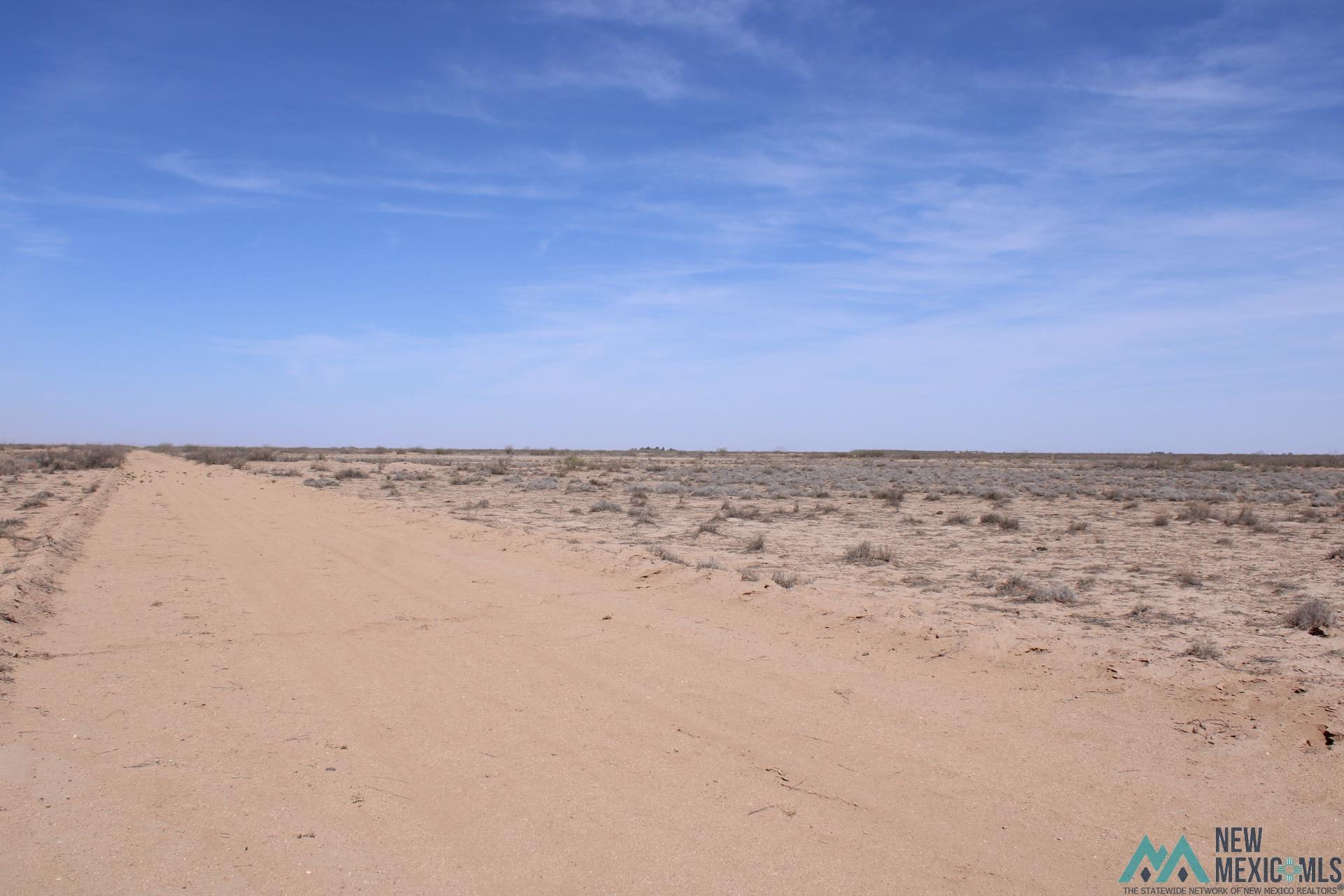Polk Rd Sw, Deming, New Mexico image 11