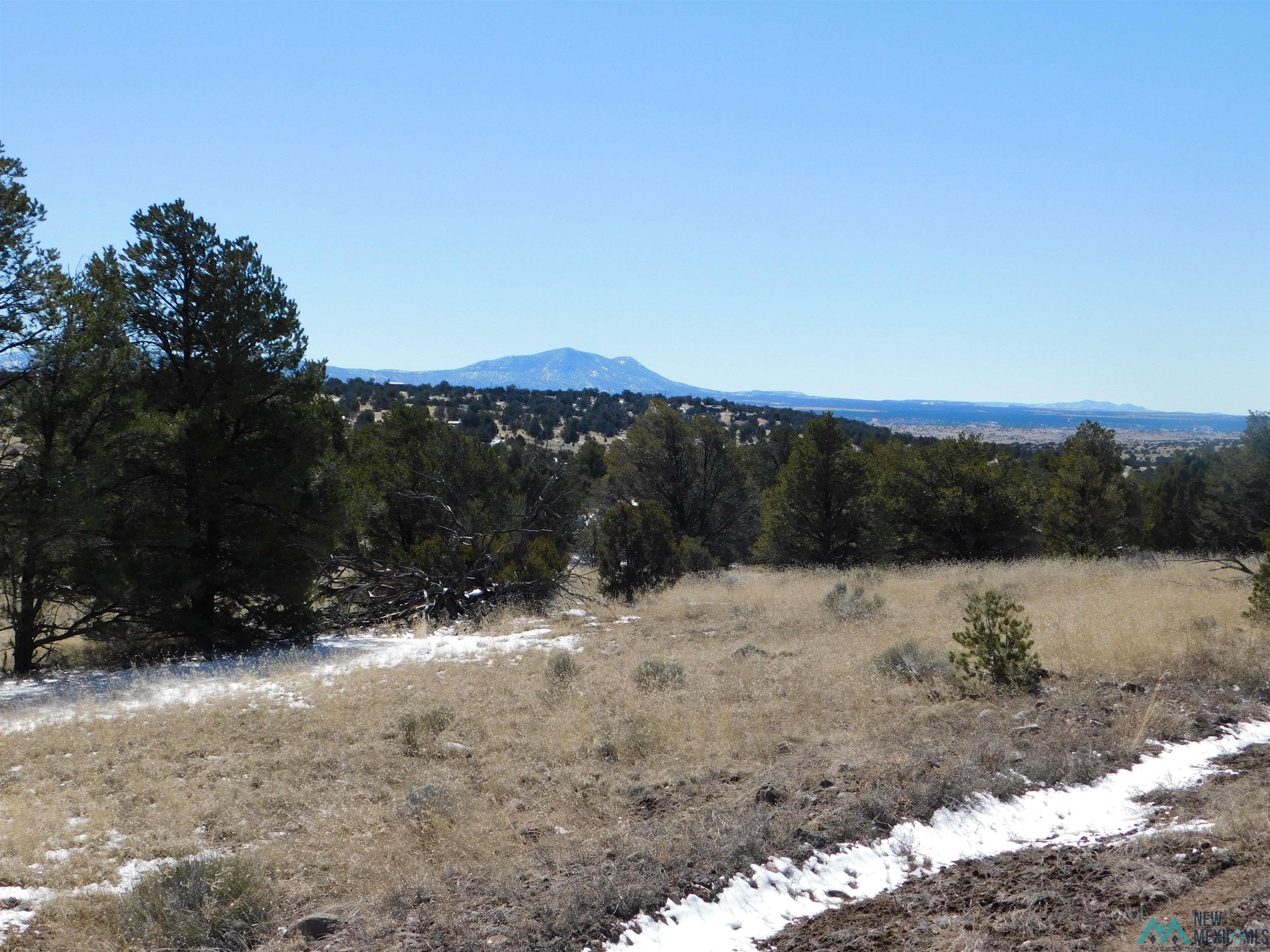 56 Bronco Boulevard, Quemado, New Mexico image 3