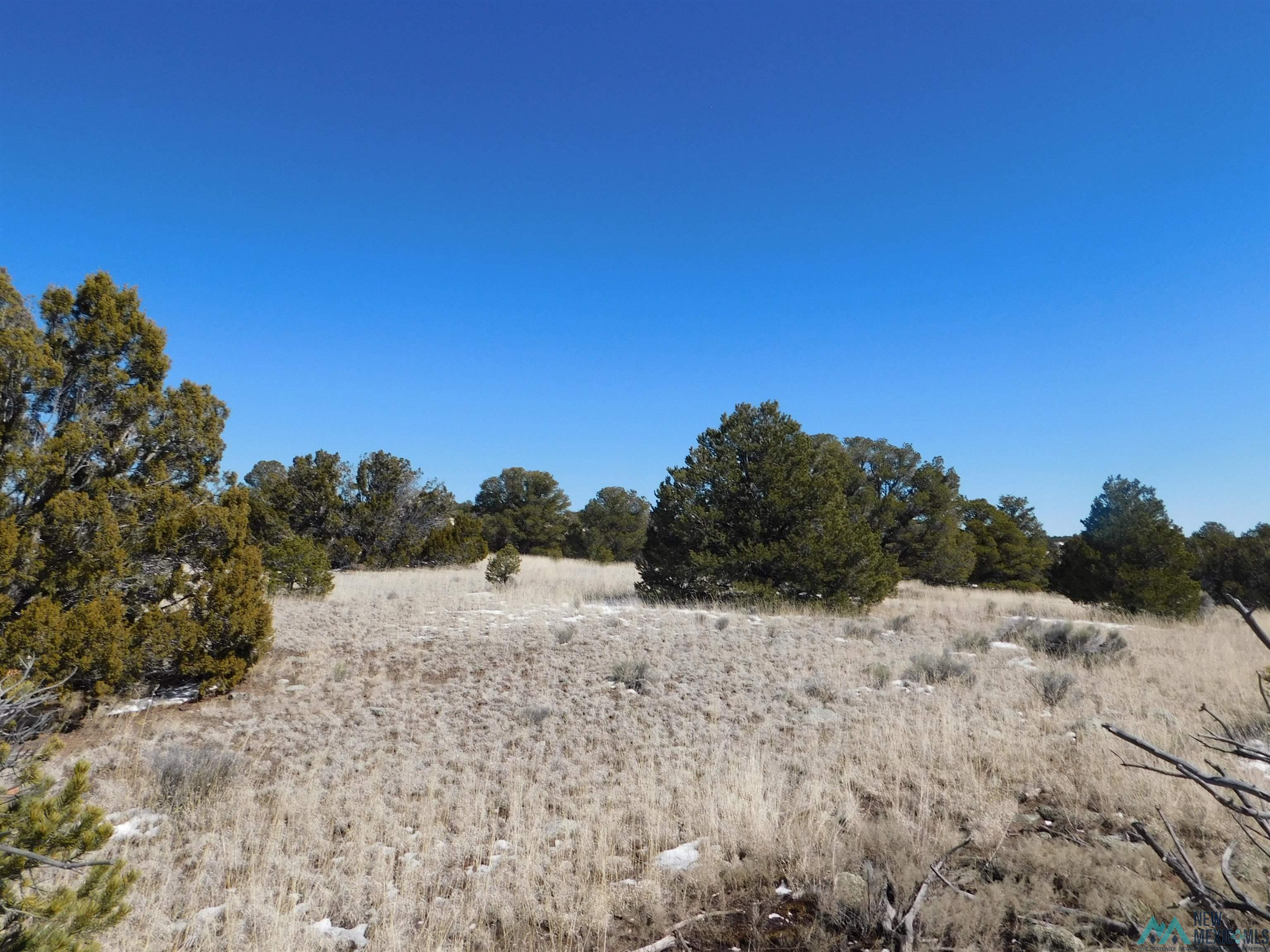 56 Bronco Boulevard, Quemado, New Mexico image 8