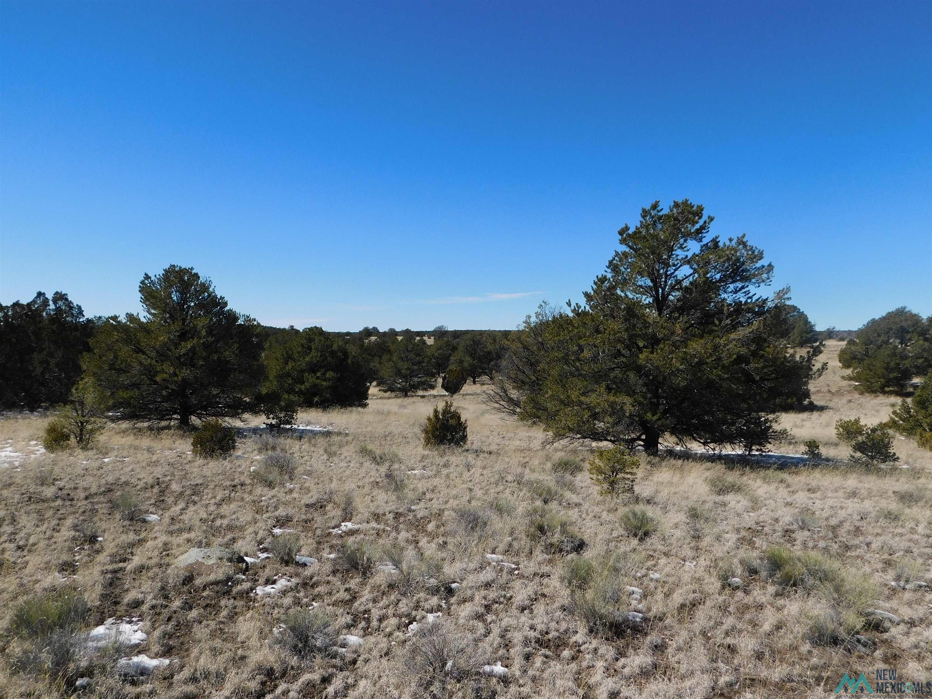 56 Bronco Boulevard, Quemado, New Mexico image 10