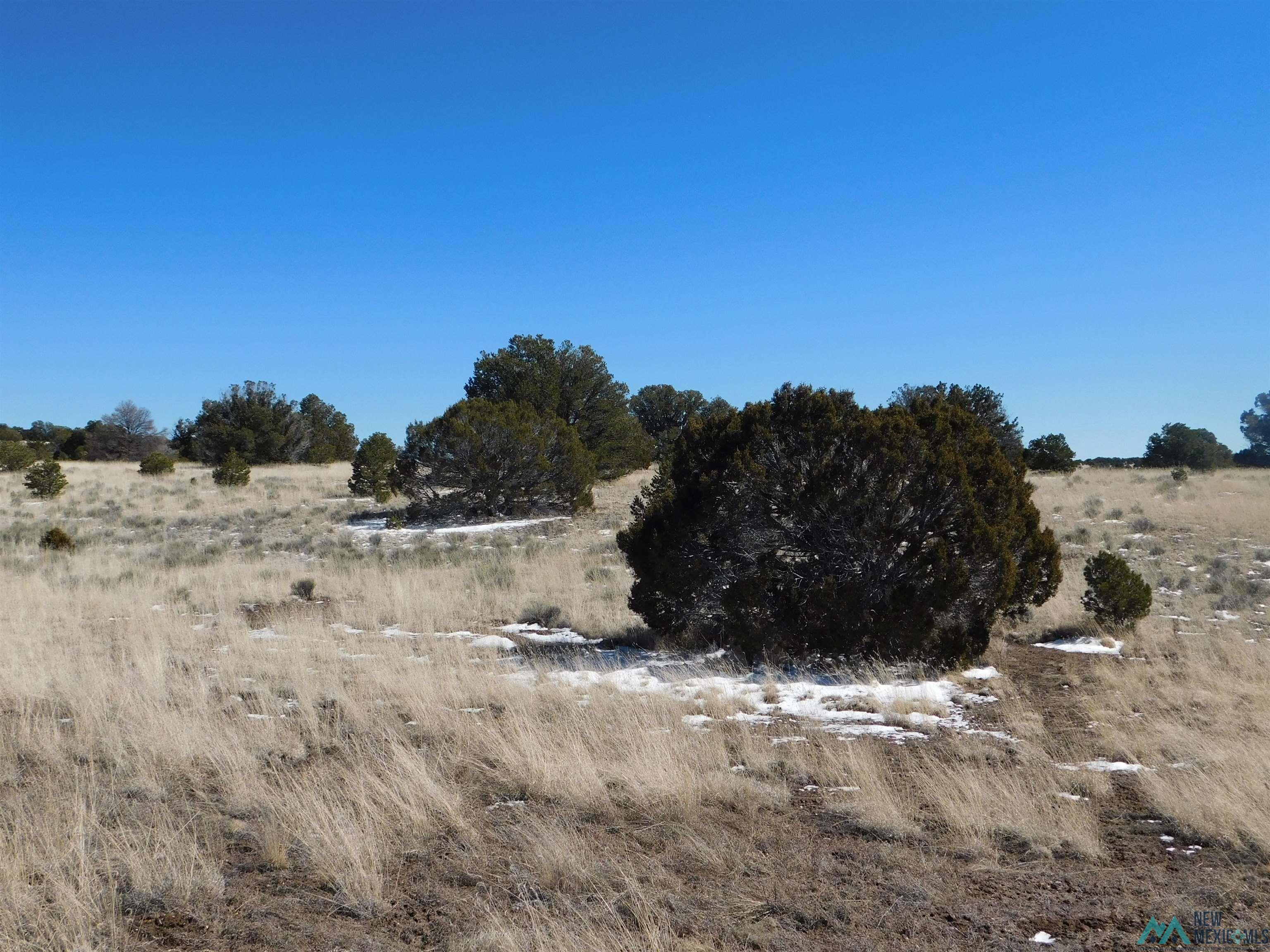 56 Bronco Boulevard, Quemado, New Mexico image 6