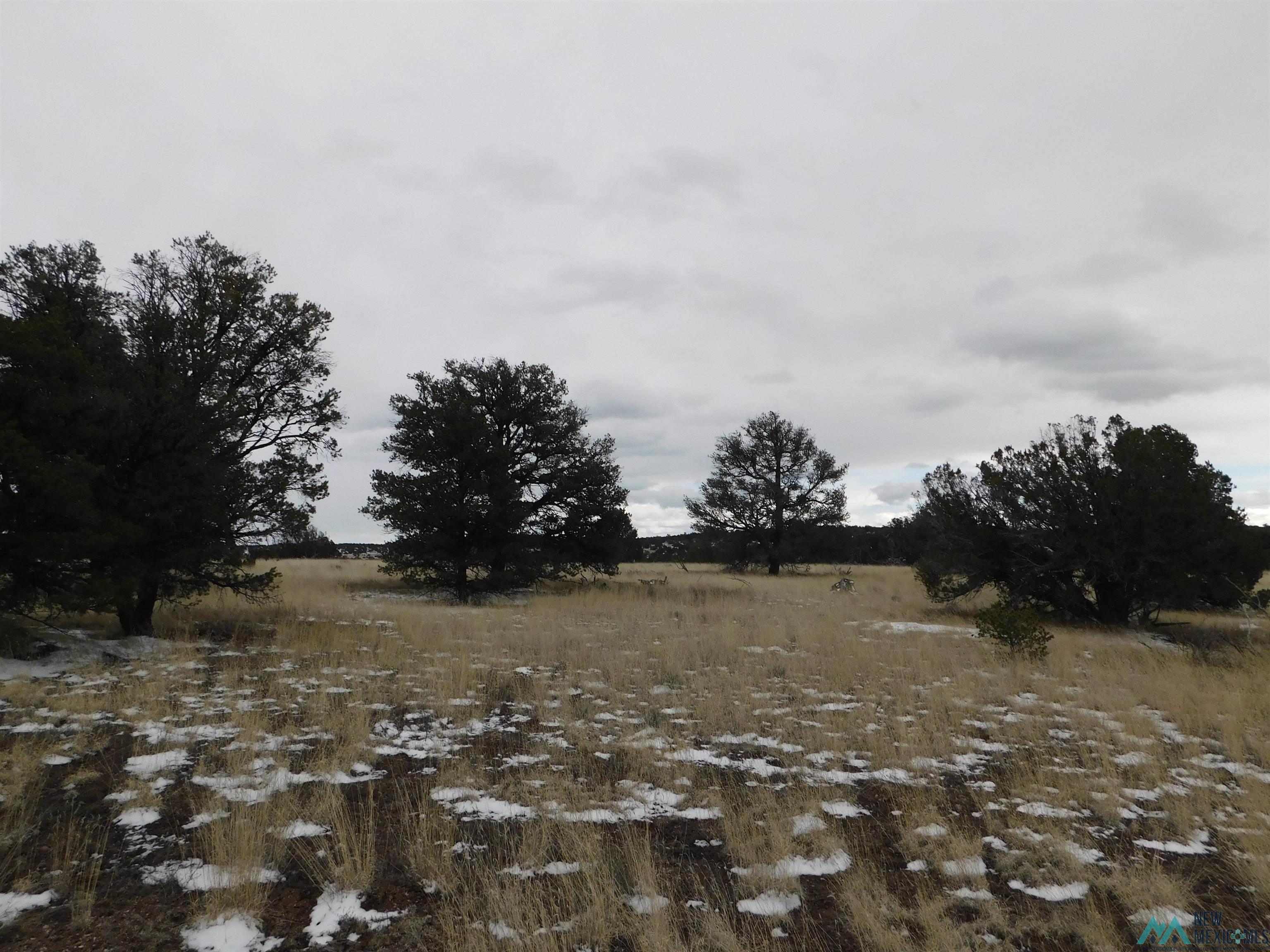 56 Bronco Boulevard, Quemado, New Mexico image 17