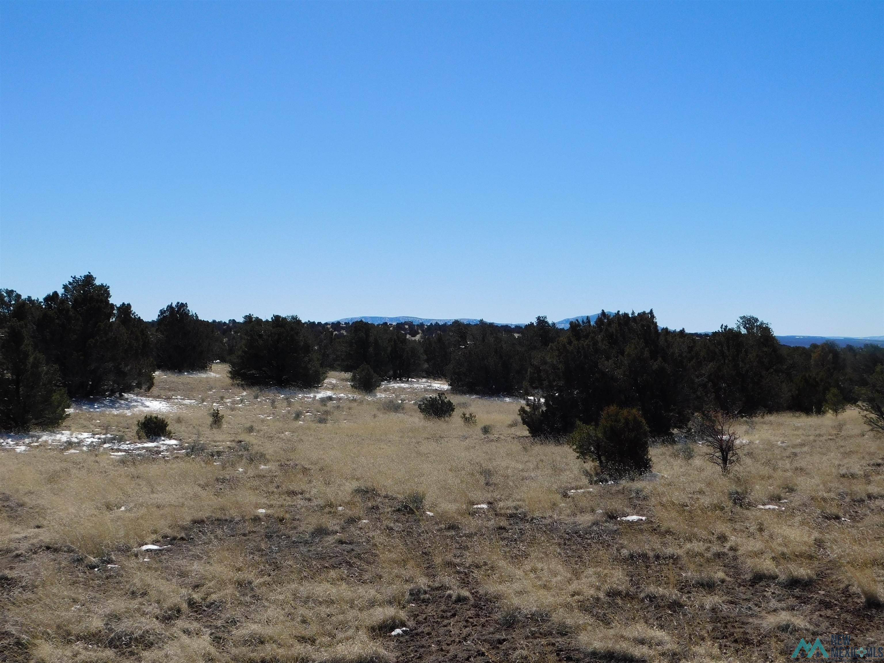 56 Bronco Boulevard, Quemado, New Mexico image 5