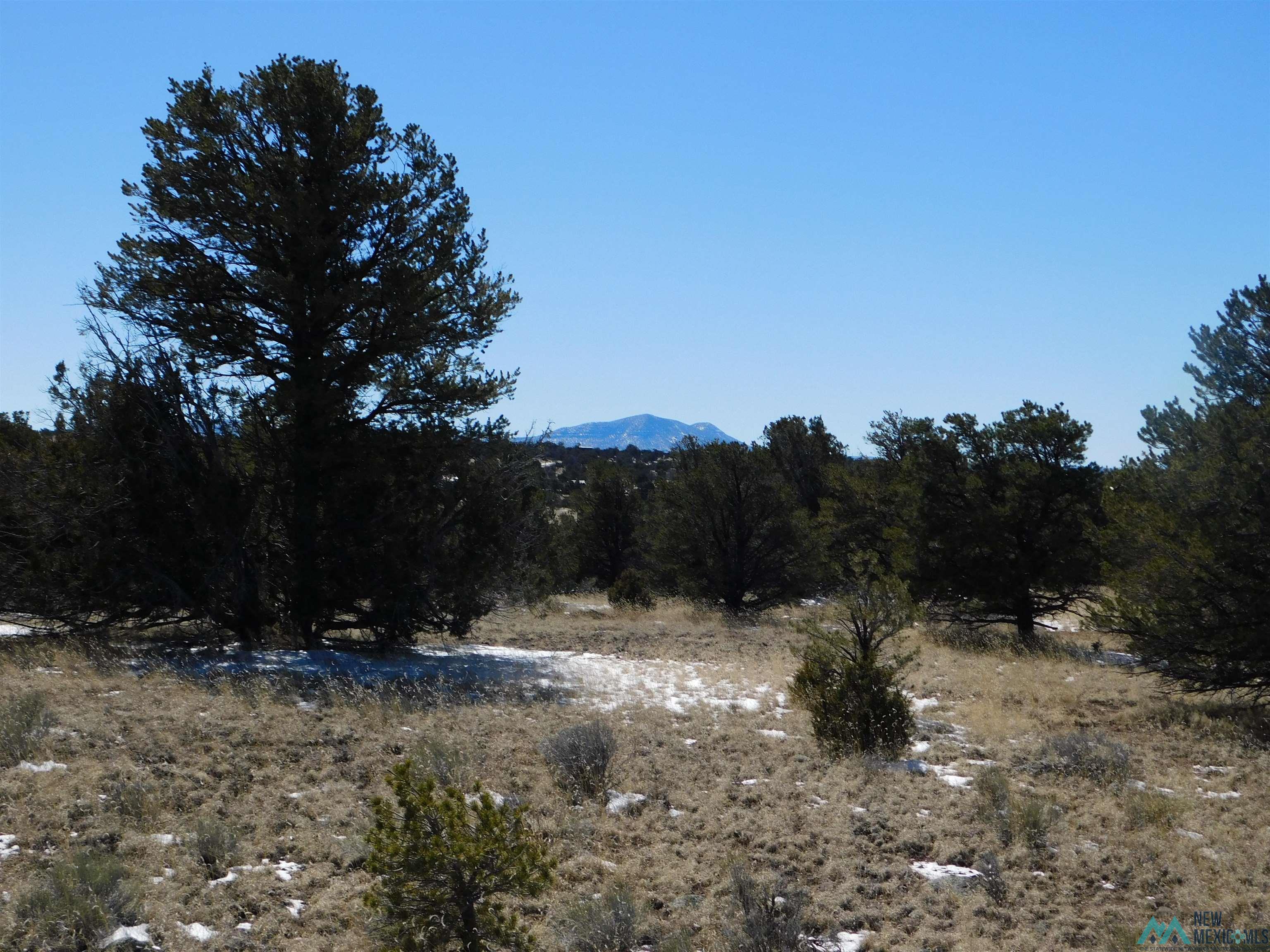 56 Bronco Boulevard, Quemado, New Mexico image 1