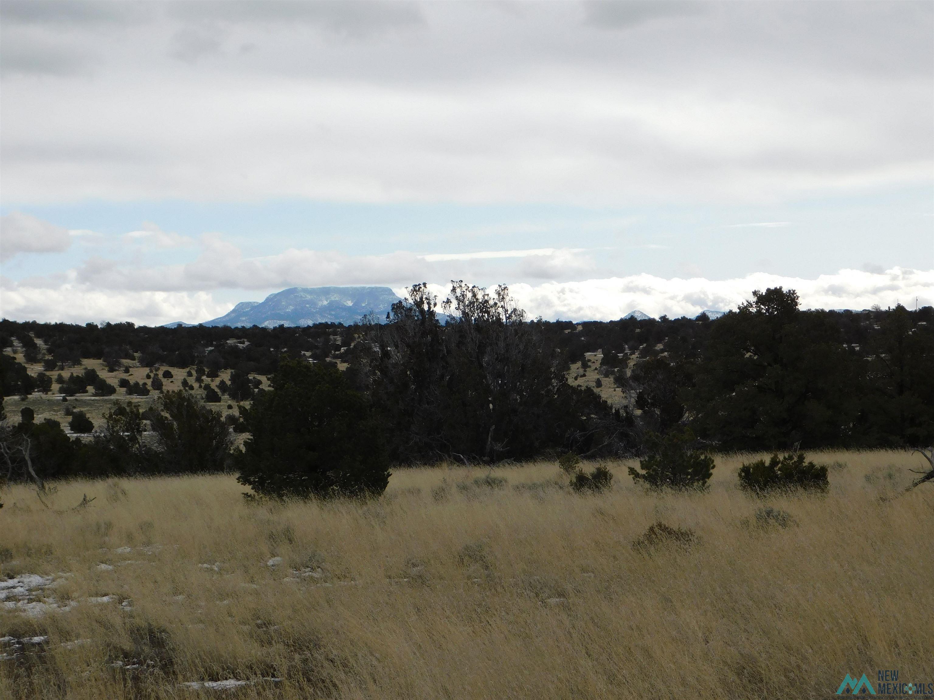 56 Bronco Boulevard, Quemado, New Mexico image 19