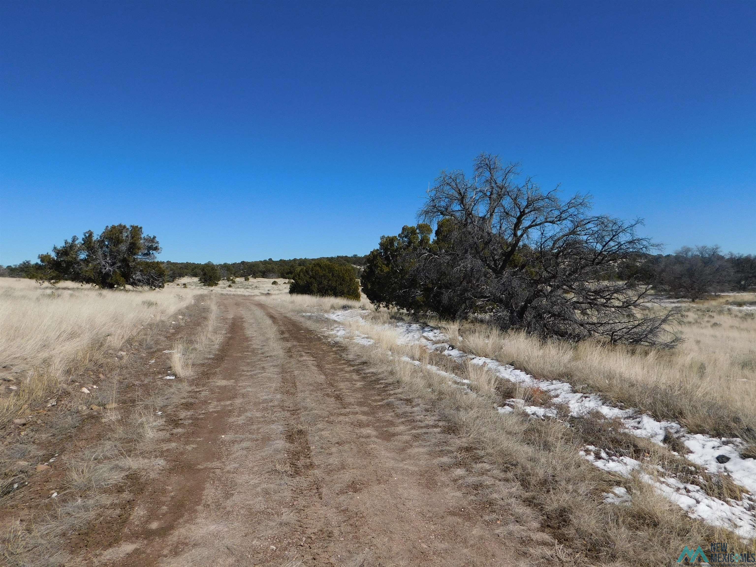 56 Bronco Boulevard, Quemado, New Mexico image 12