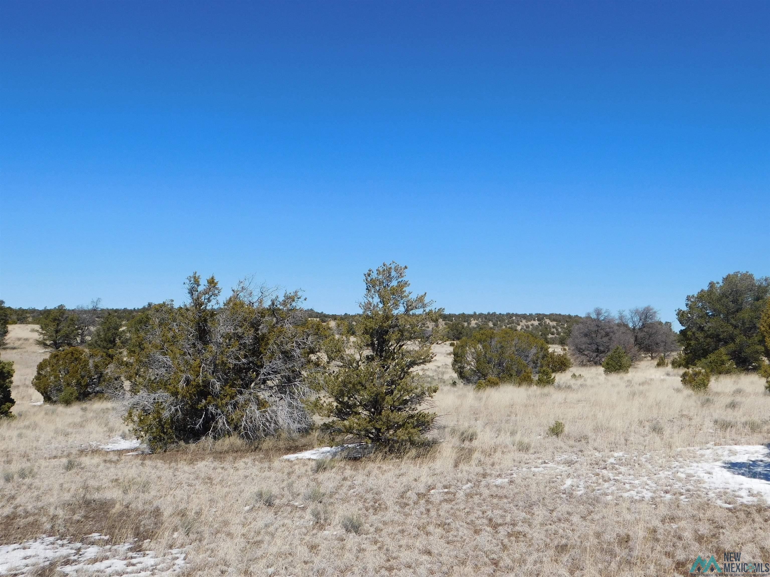 56 Bronco Boulevard, Quemado, New Mexico image 9