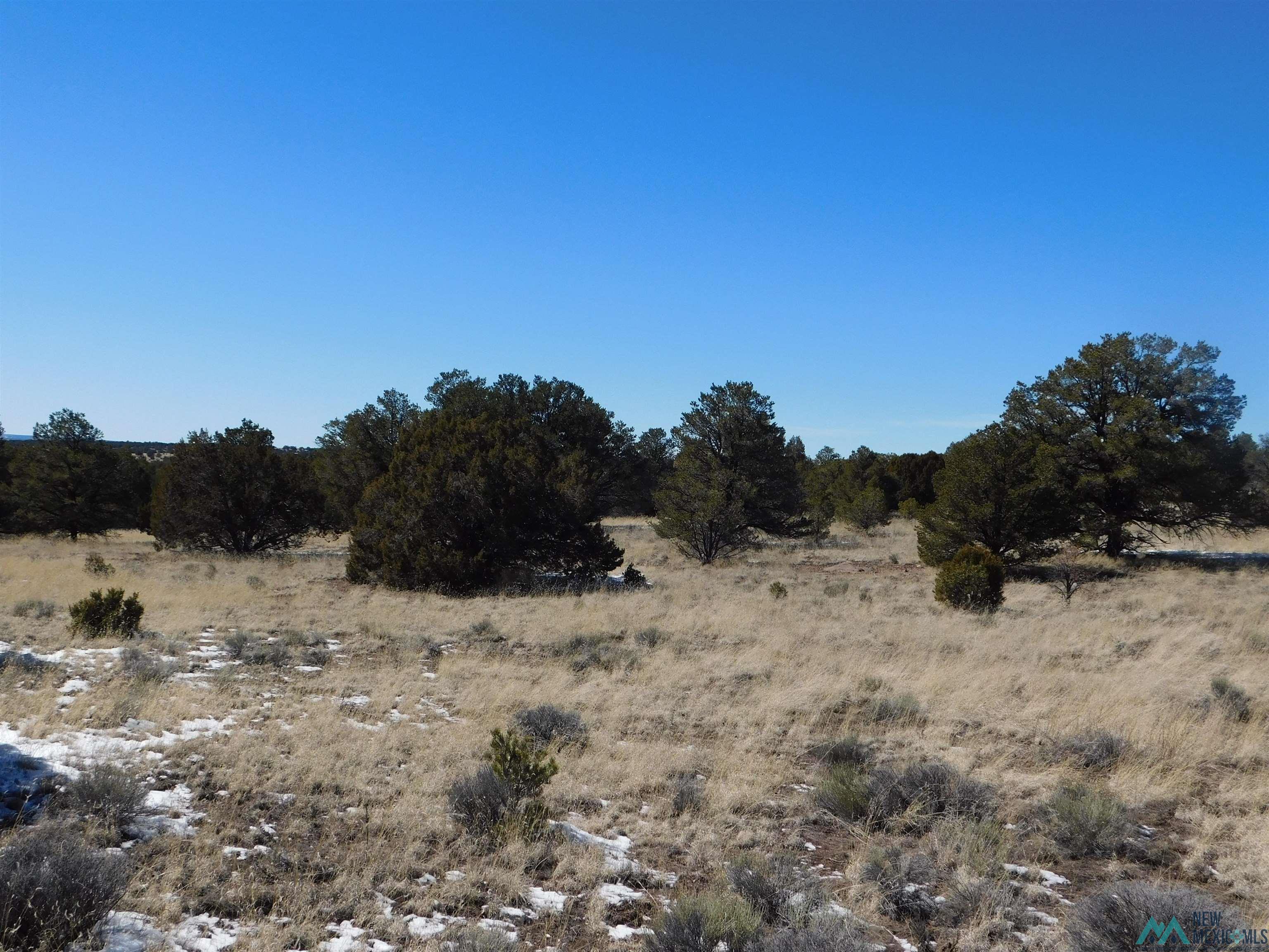 56 Bronco Boulevard, Quemado, New Mexico image 7