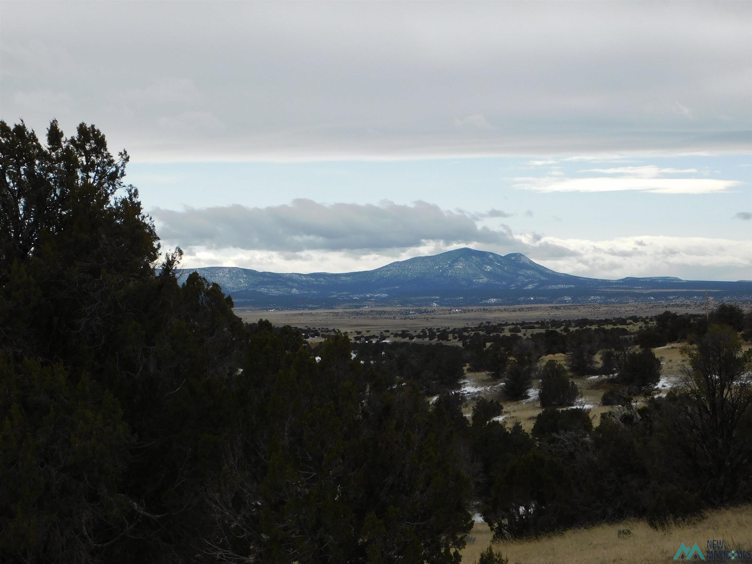 56 Bronco Boulevard, Quemado, New Mexico image 13