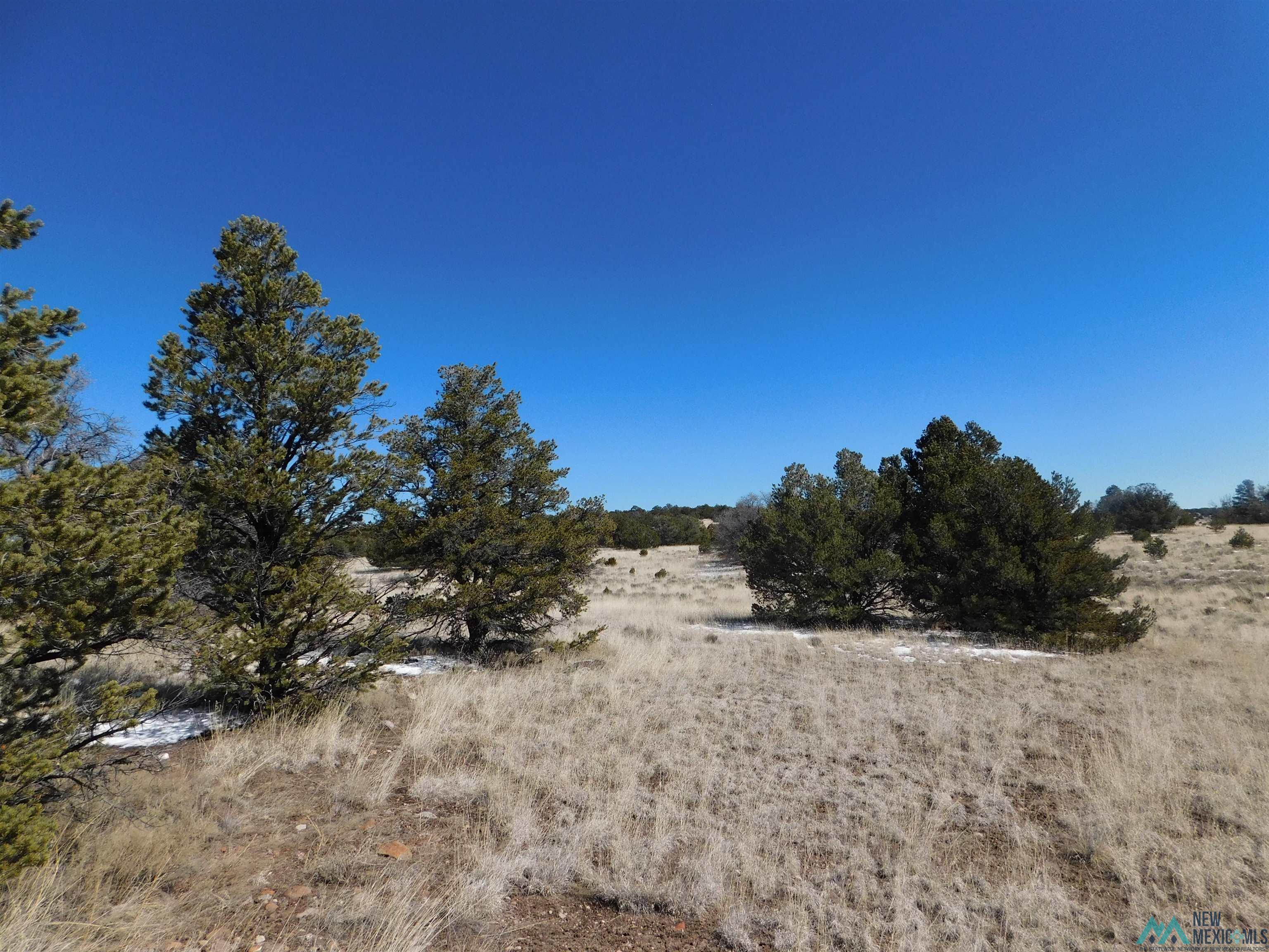 56 Bronco Boulevard, Quemado, New Mexico image 4