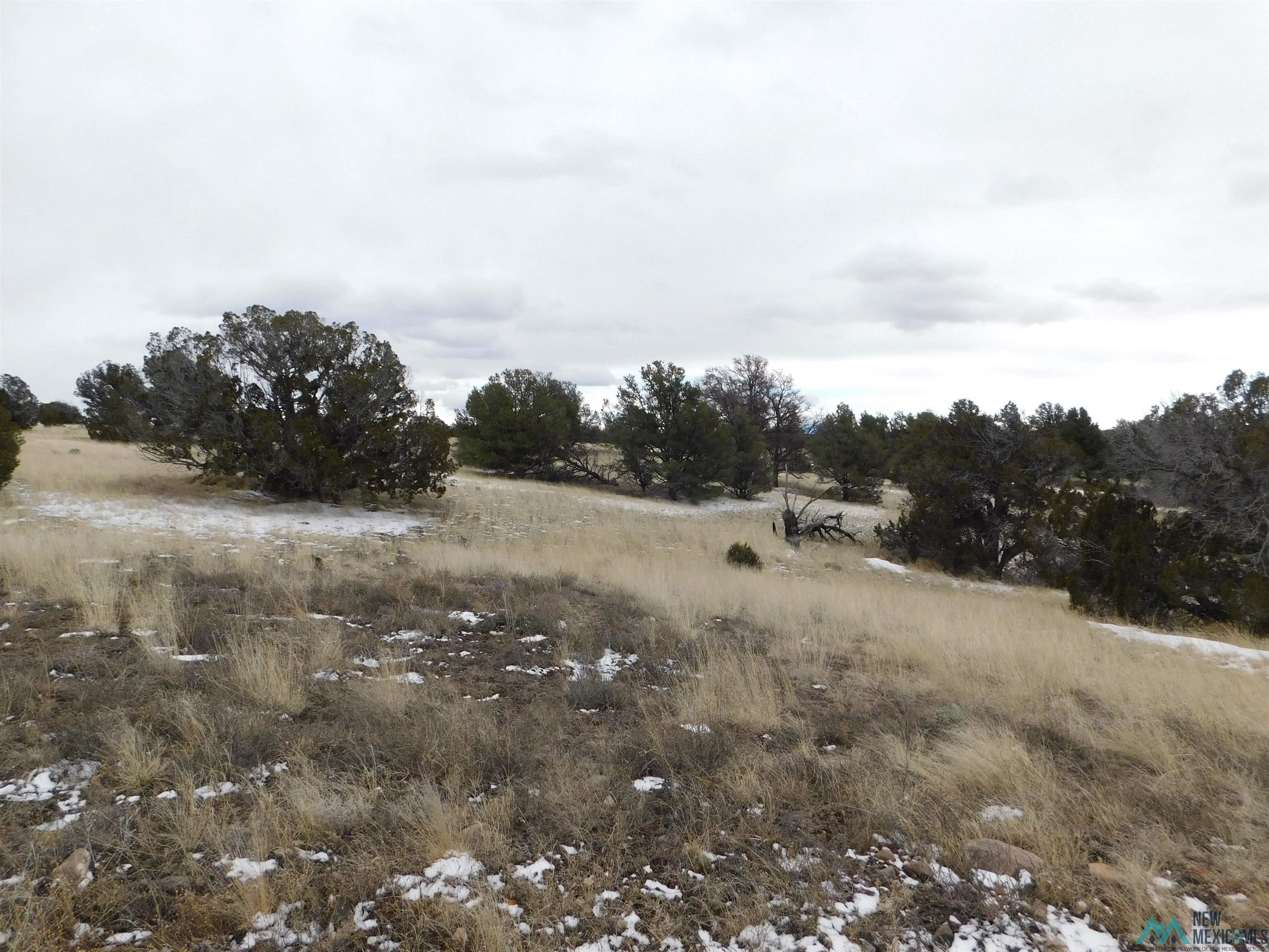 56 Bronco Boulevard, Quemado, New Mexico image 14