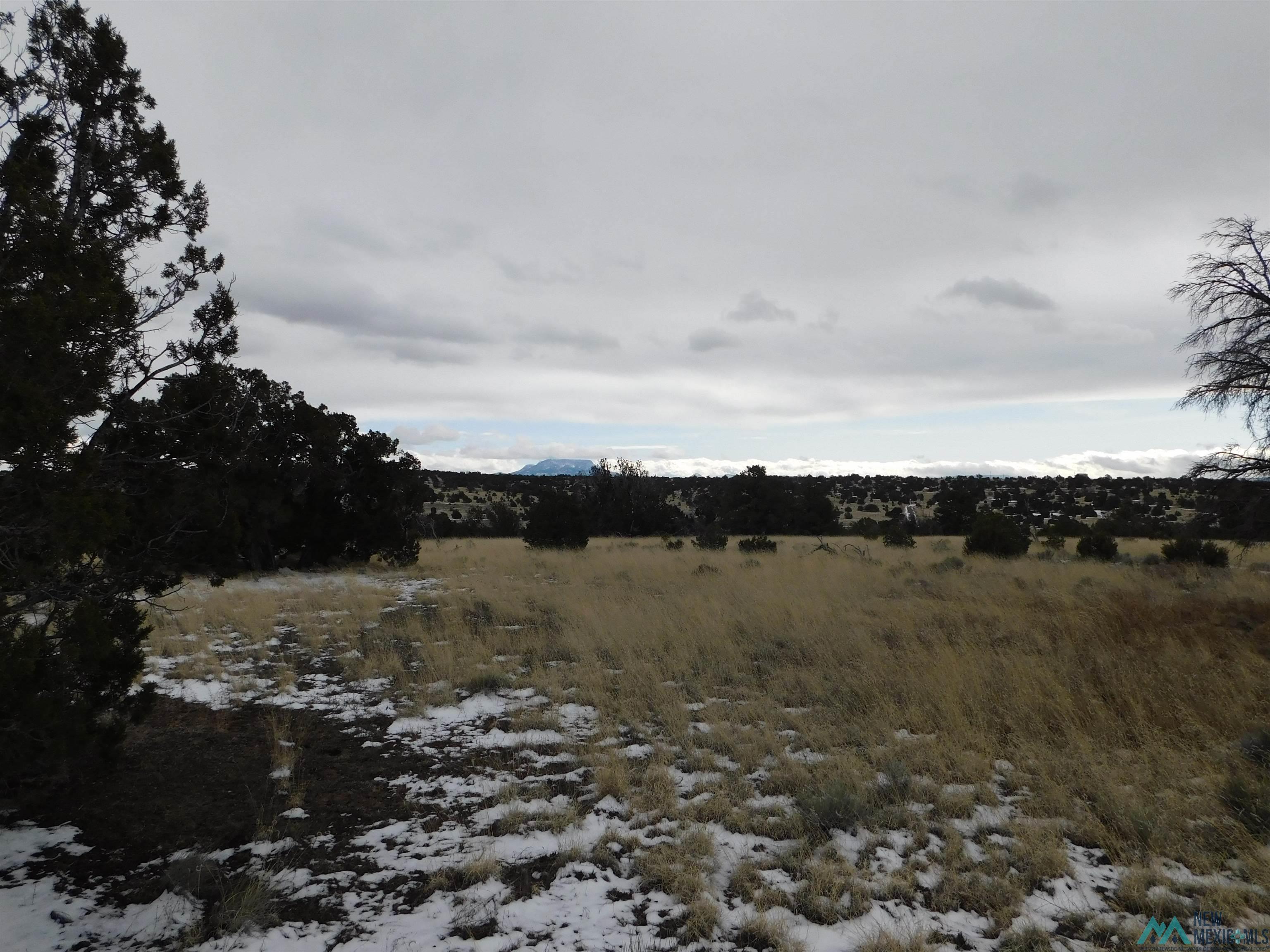 56 Bronco Boulevard, Quemado, New Mexico image 18