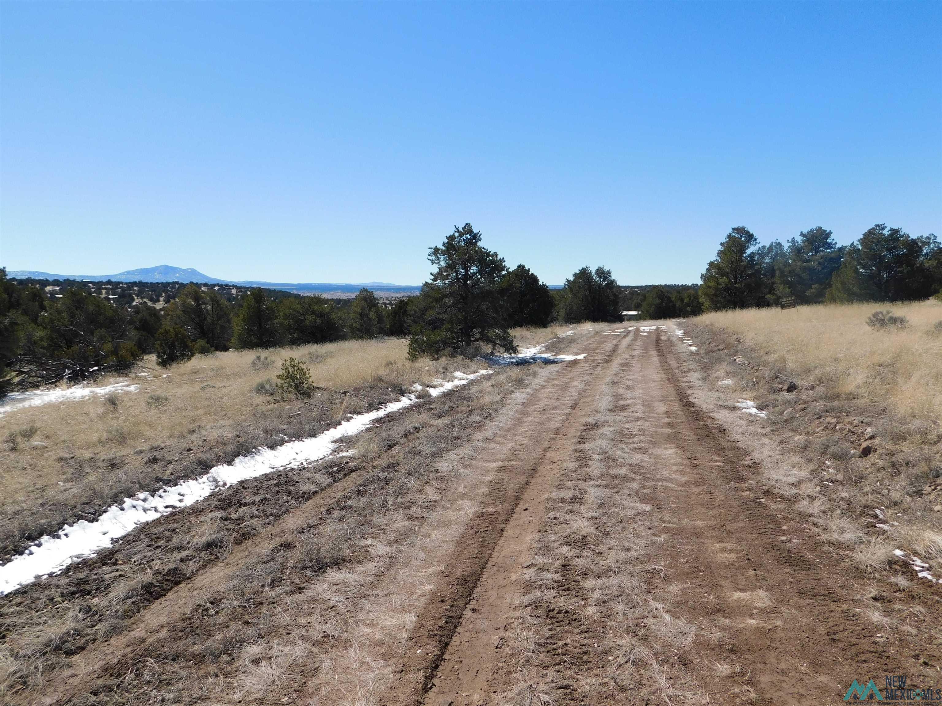 56 Bronco Boulevard, Quemado, New Mexico image 11