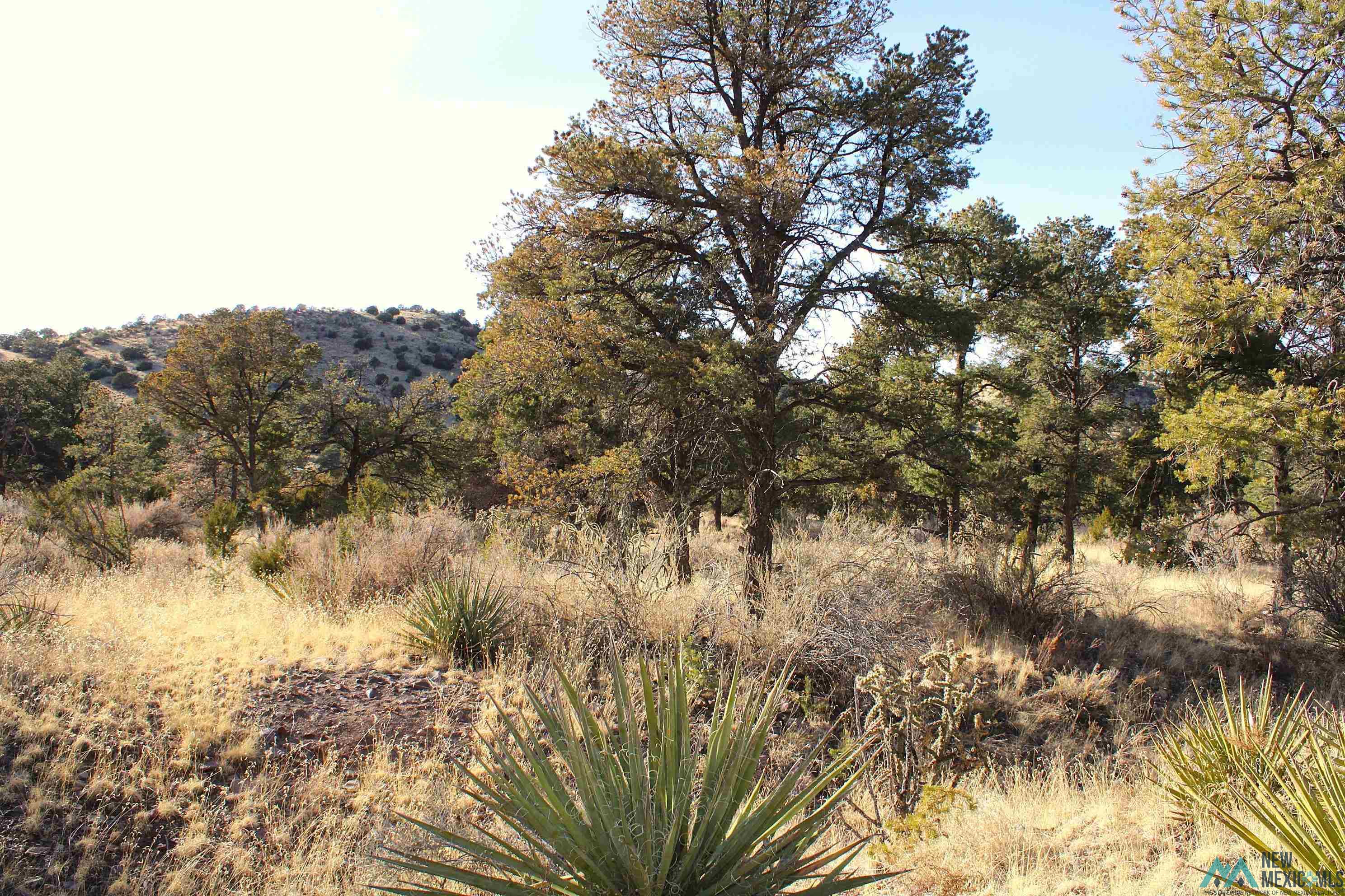 17 Pinon Trail, Magdalena, New Mexico image 32