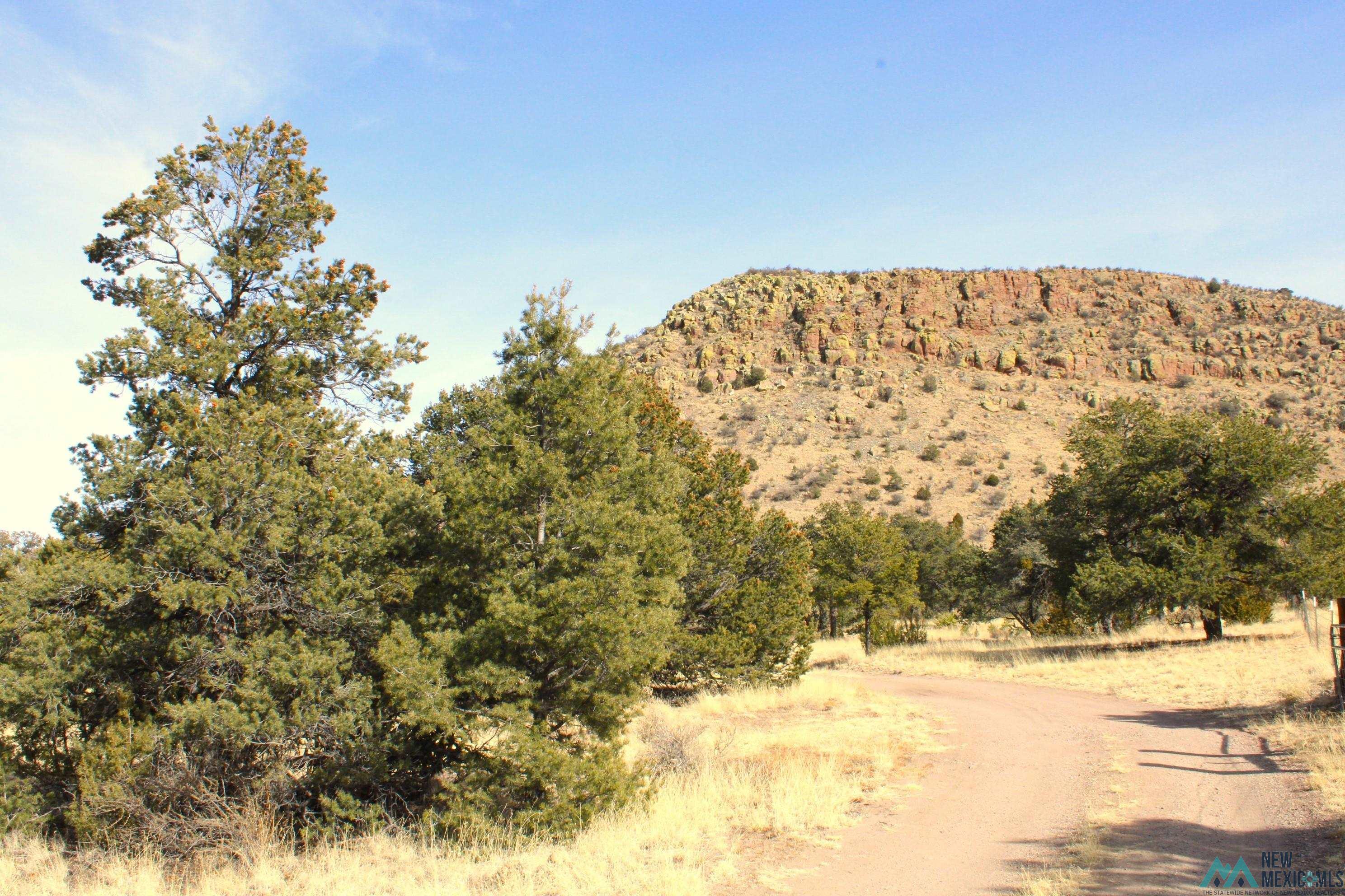 17 Pinon Trail, Magdalena, New Mexico image 36