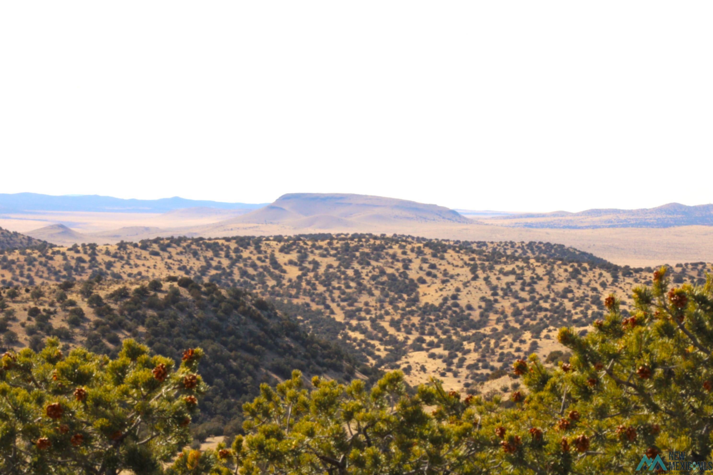 17 Pinon Trail, Magdalena, New Mexico image 35