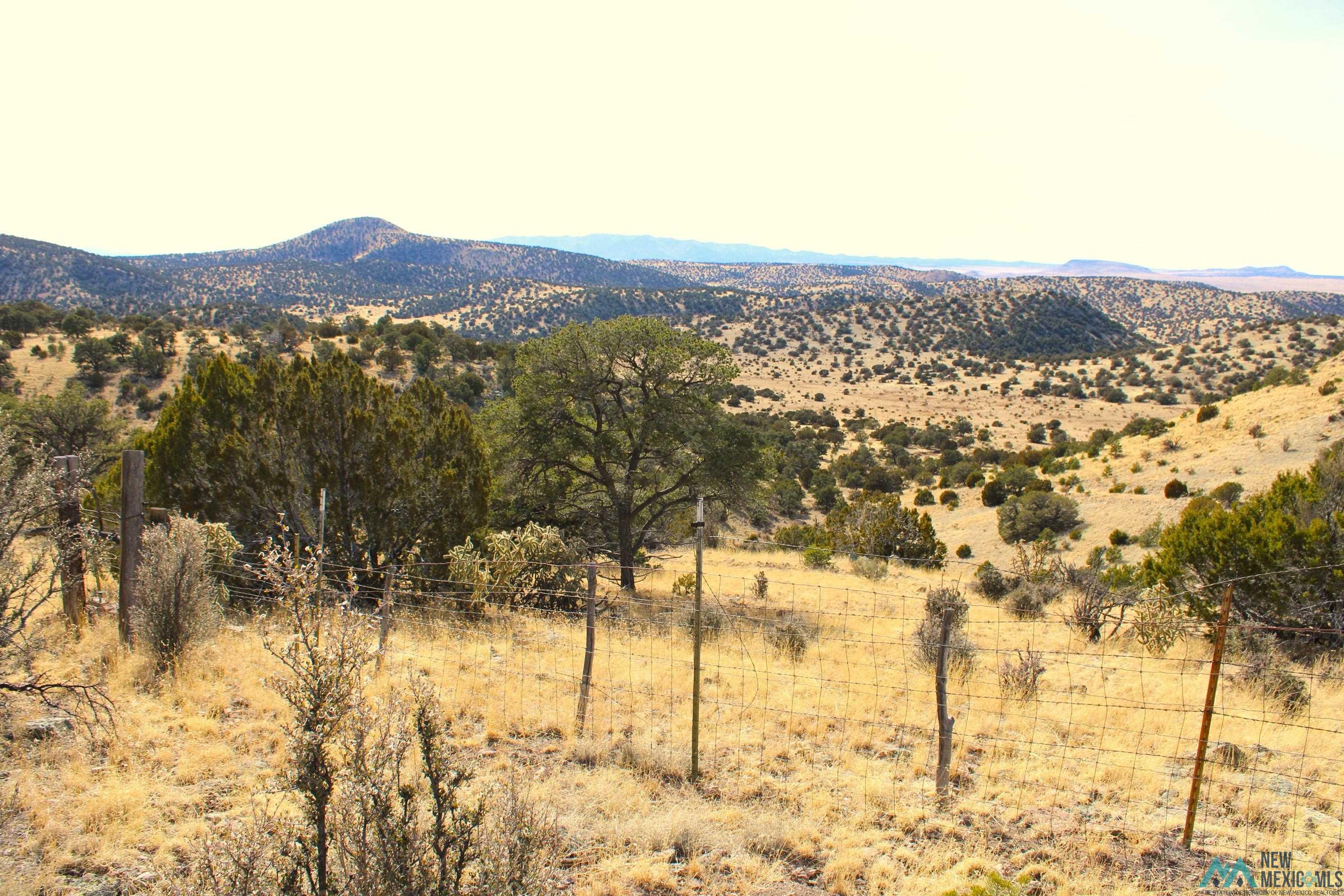 17 Pinon Trail, Magdalena, New Mexico image 27