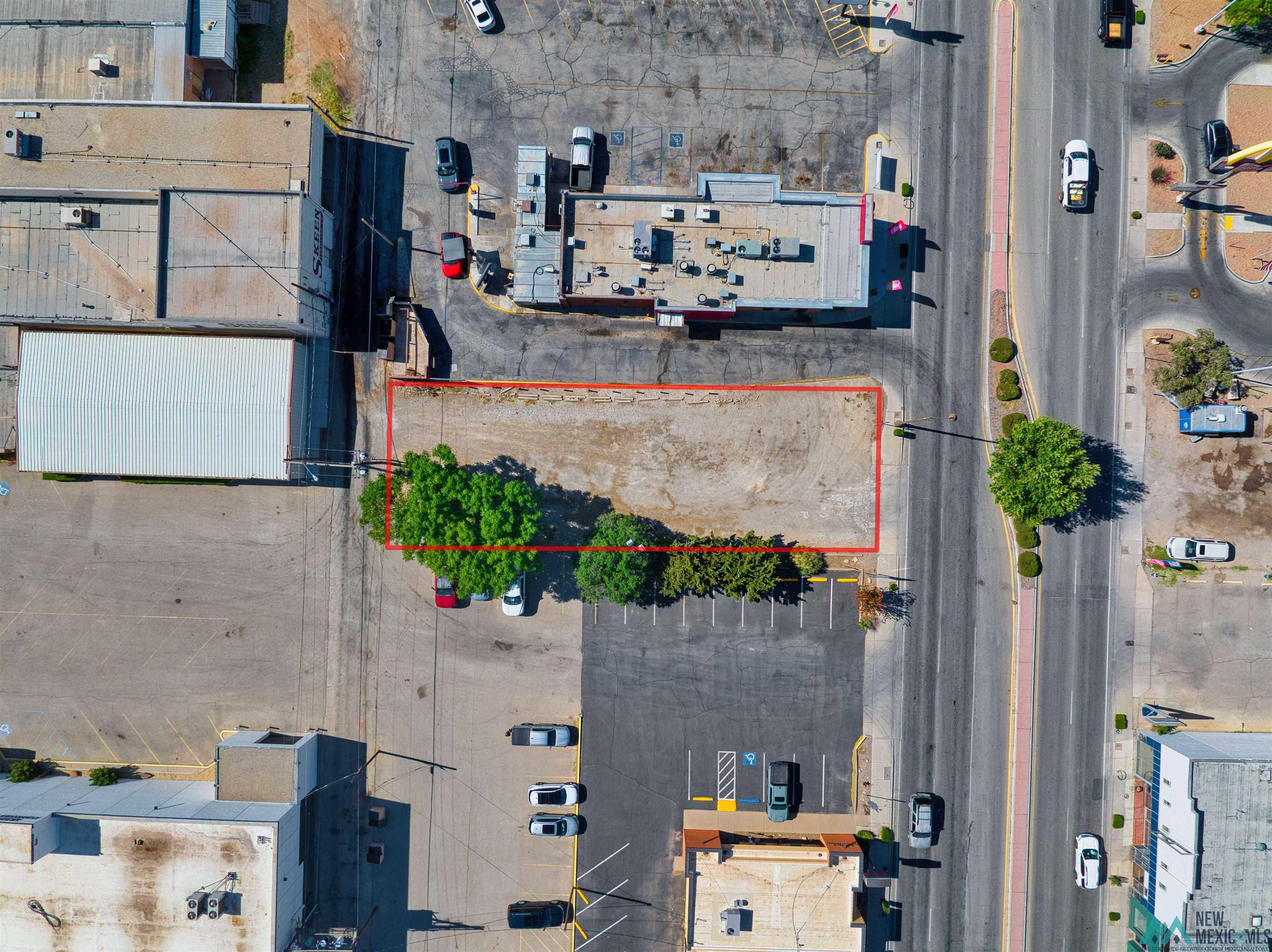 316 S Canal Street, Carlsbad, Texas image 4