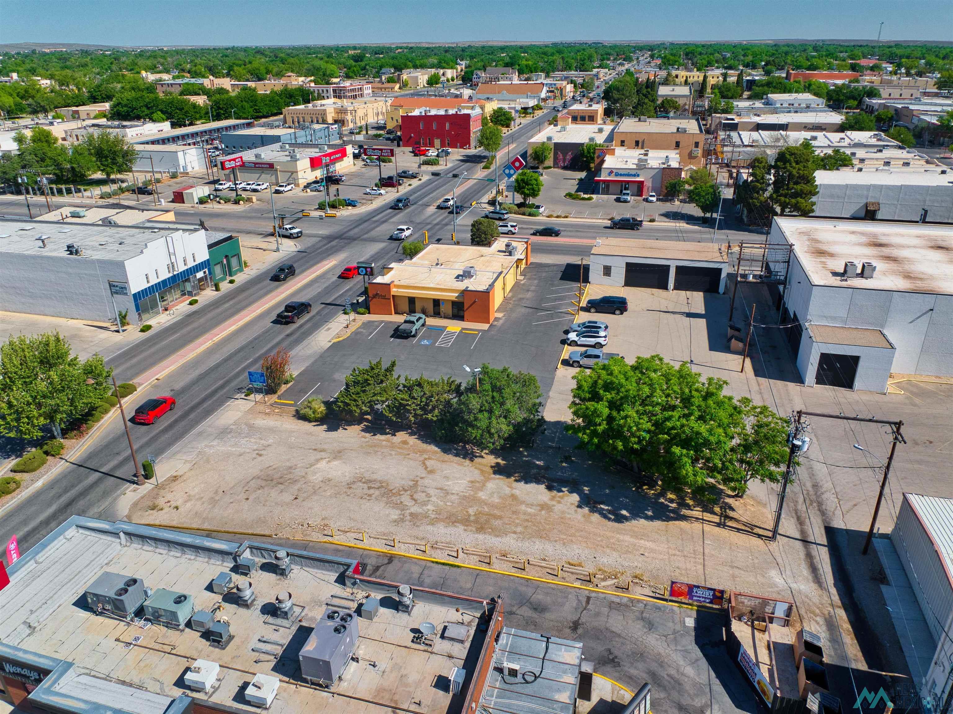 316 S Canal Street, Carlsbad, Texas image 6