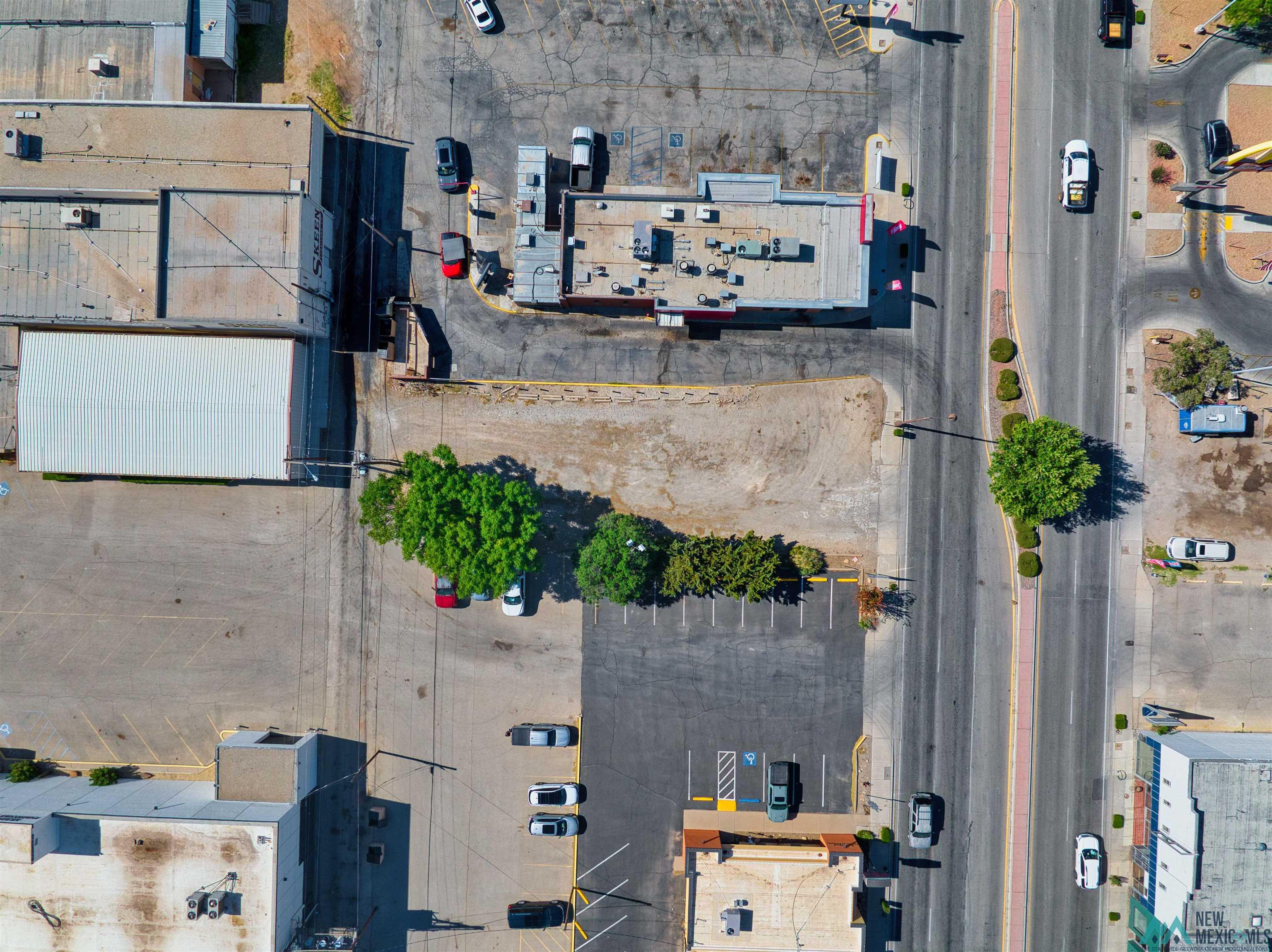 316 S Canal Street, Carlsbad, Texas image 3