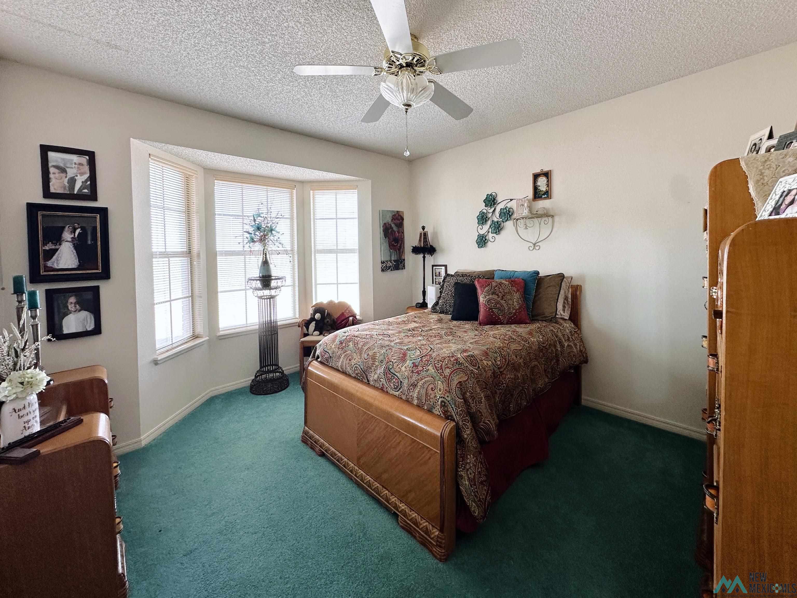 755 Sr 523 Lane, Clovis, New Mexico image 2
