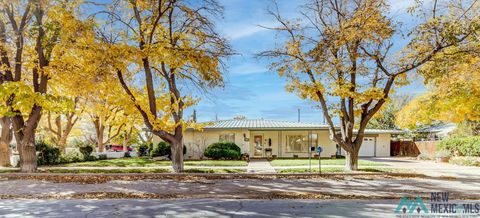 Homes For Sale - 420 S Slate Street<br/> Deming, NM 88030