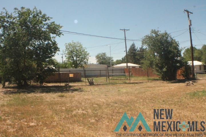 907 W Summit Street, Roswell, Texas image 22