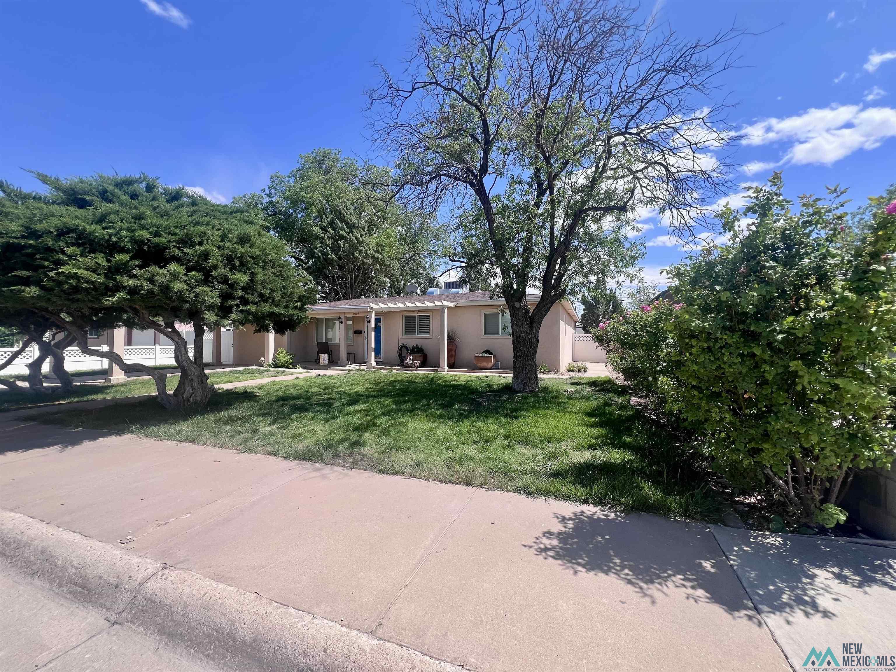 1007 W Runyan Avenue, Artesia, Texas image 2