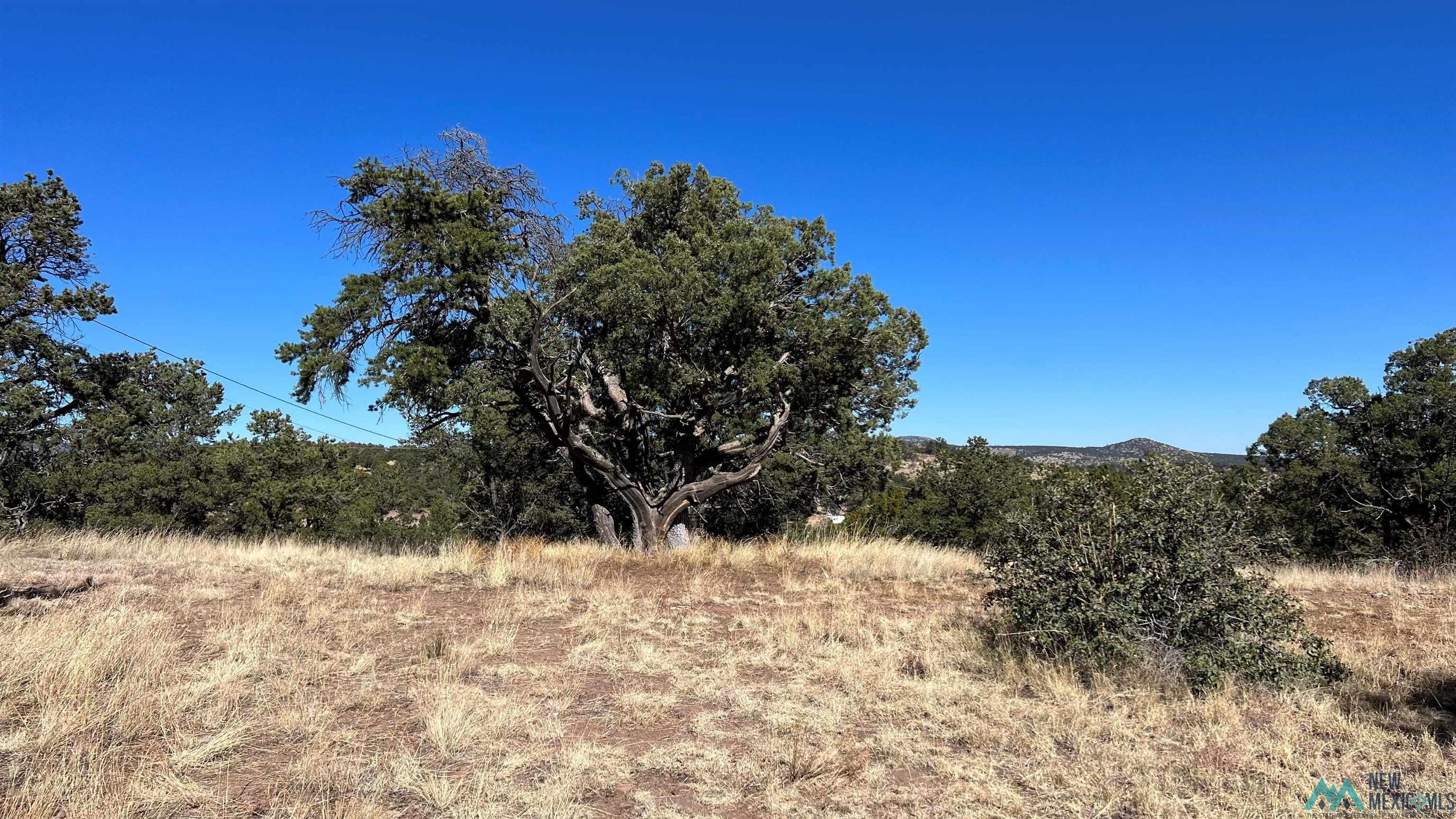 21 Windmill Circle, Datil, New Mexico image 34