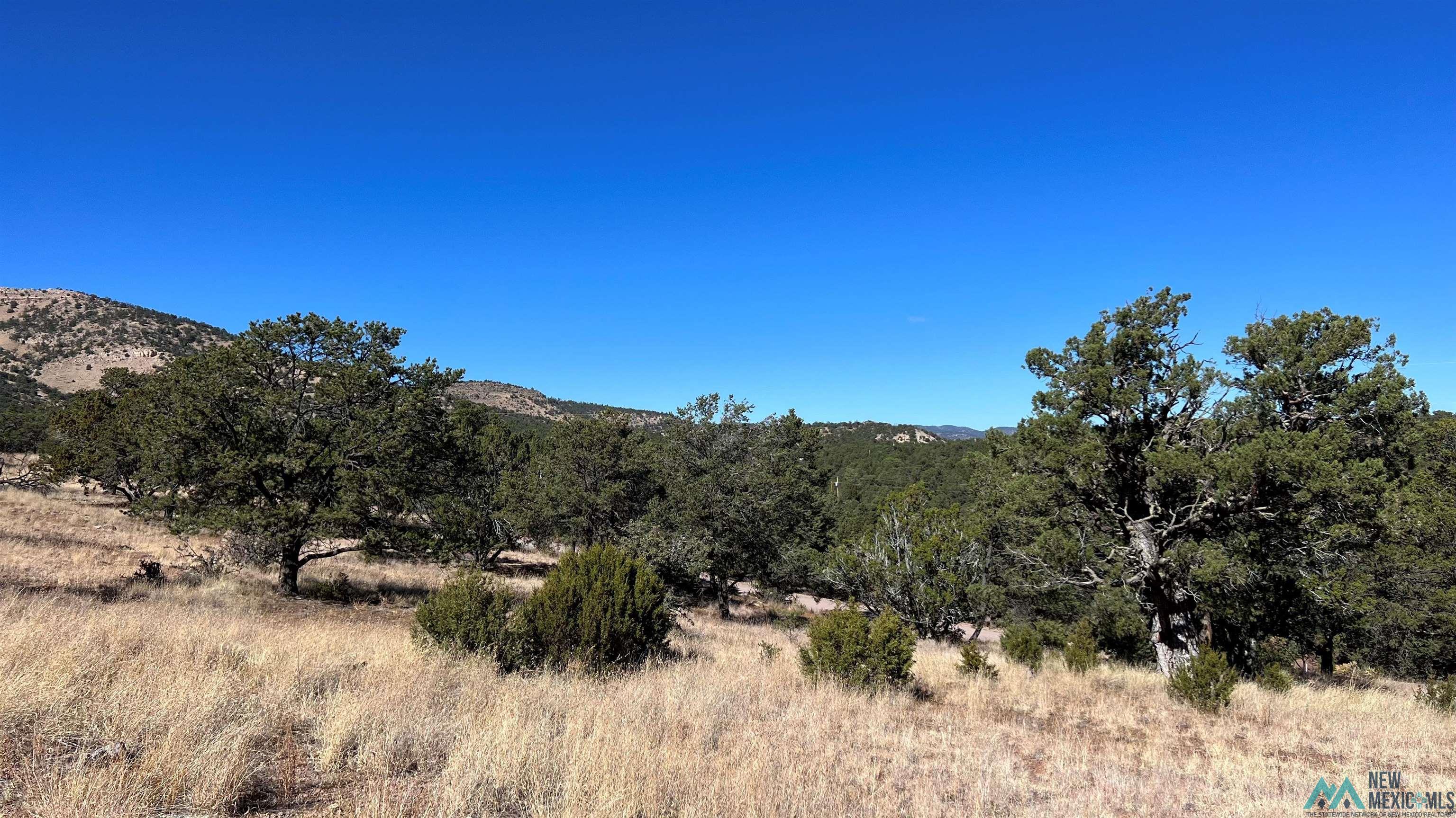 21 Windmill Circle, Datil, New Mexico image 35