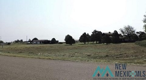 Vacant Land For Sale - 1 KIKER Drive Drive<br/> Union County, Clayton, NM 88415