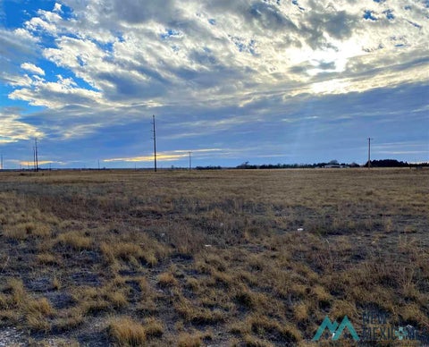 Vacant Land For Sale - 000 Tbd Bigler Addition Blk 2 Lot 5 St<br/> Roosevelt County, Portales, NM 88130