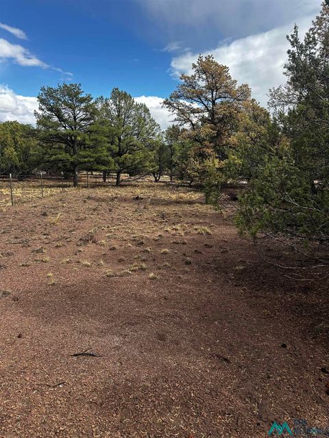 Vacant Land For Sale - 9 Juniper Way<br/> Catron County, Datil, NM 87821
