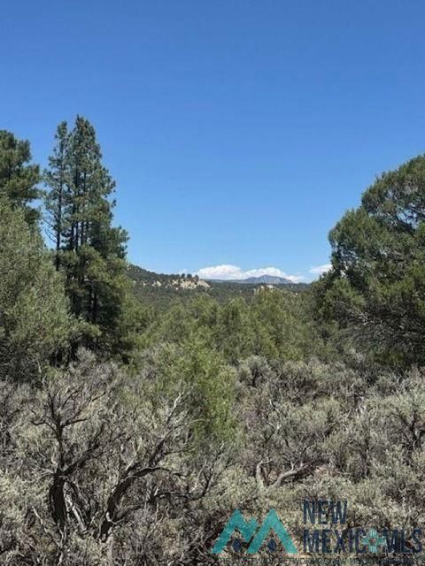Vacant Land For Sale - LOT 7 Unit 5<br/> Rio Arriba County, Tierra Amarilla, NM 87575