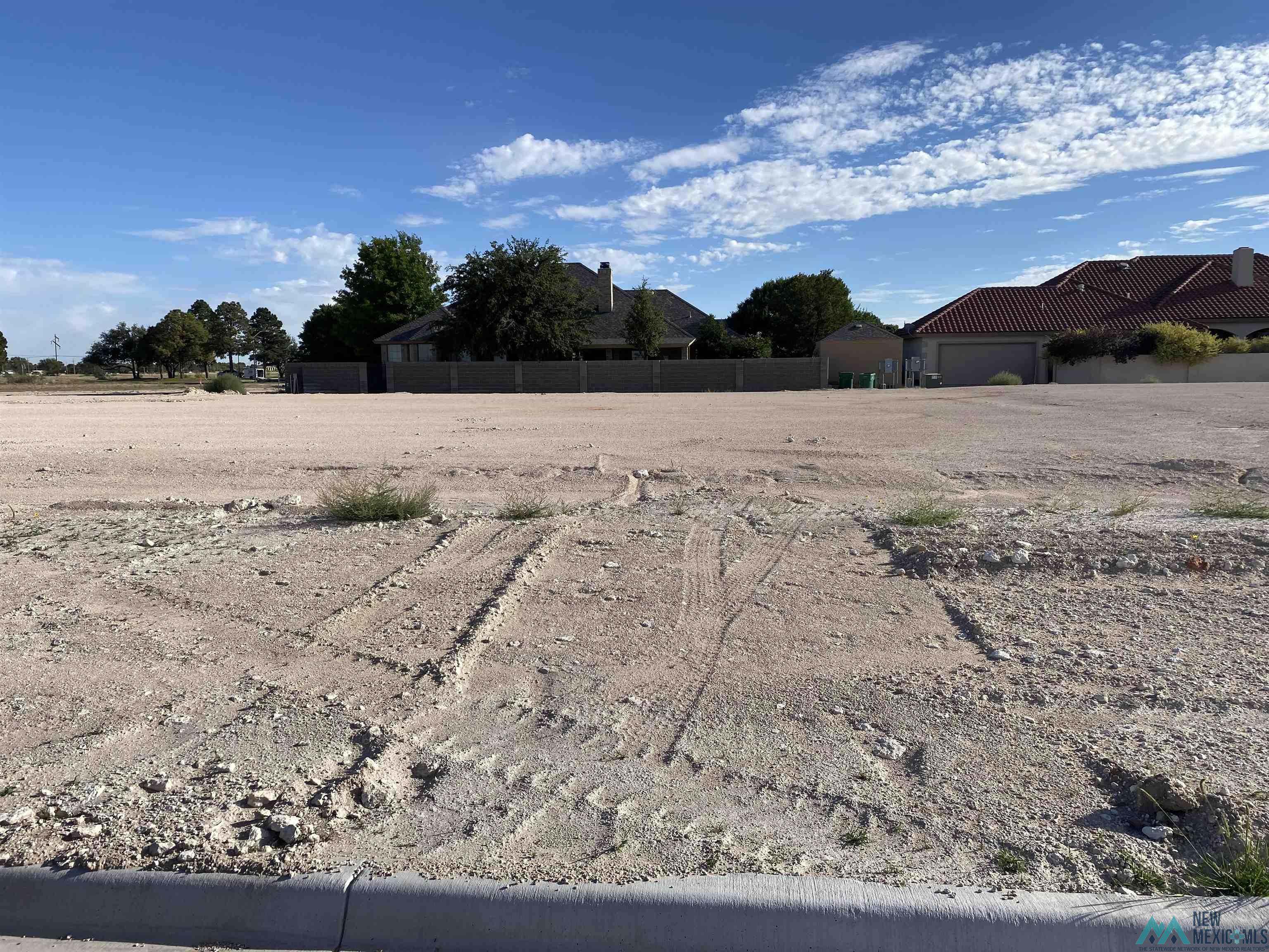 1203 W Cambridge Street, Hobbs, New Mexico image 1