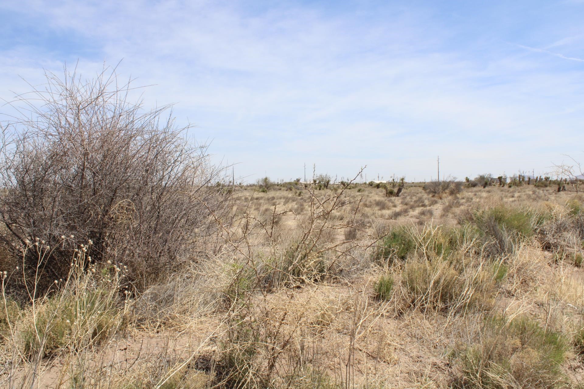 Challa Rd Sw, Deming, New Mexico image 8