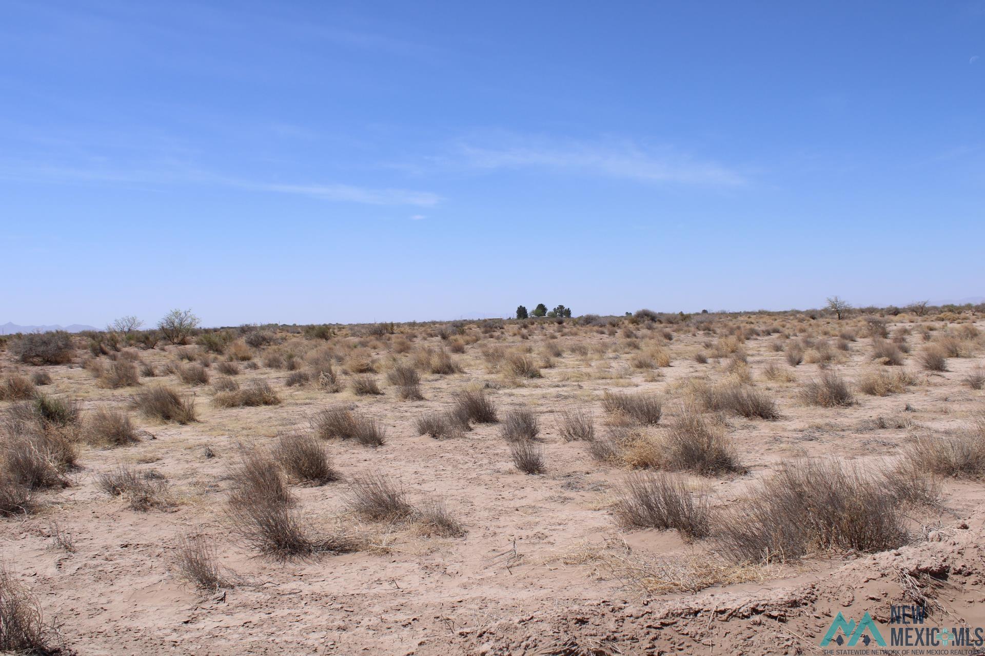 Challa Rd Sw, Deming, New Mexico image 3