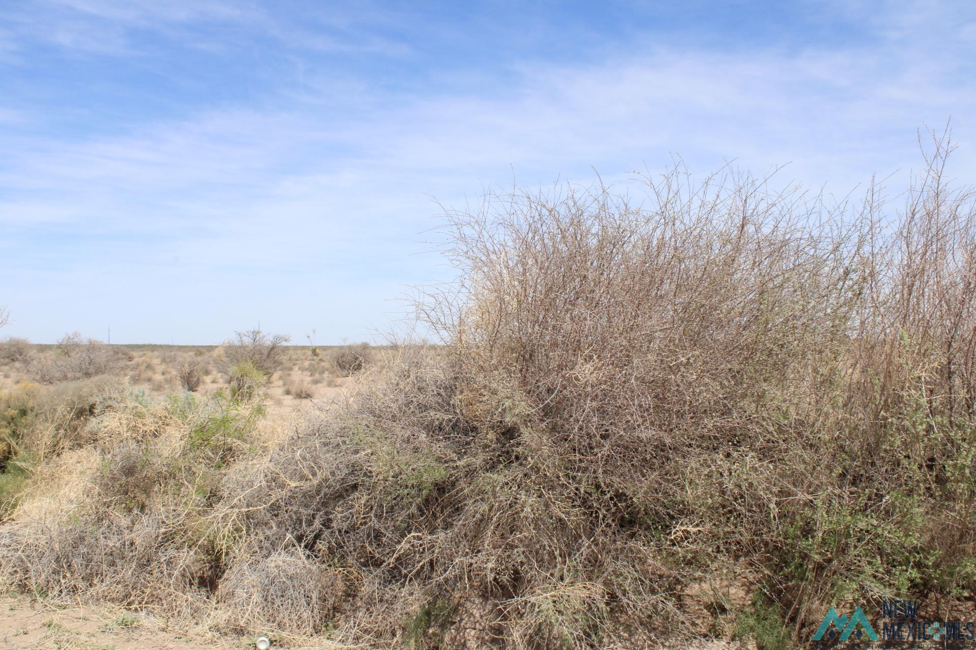 Challa Rd Sw, Deming, New Mexico image 7