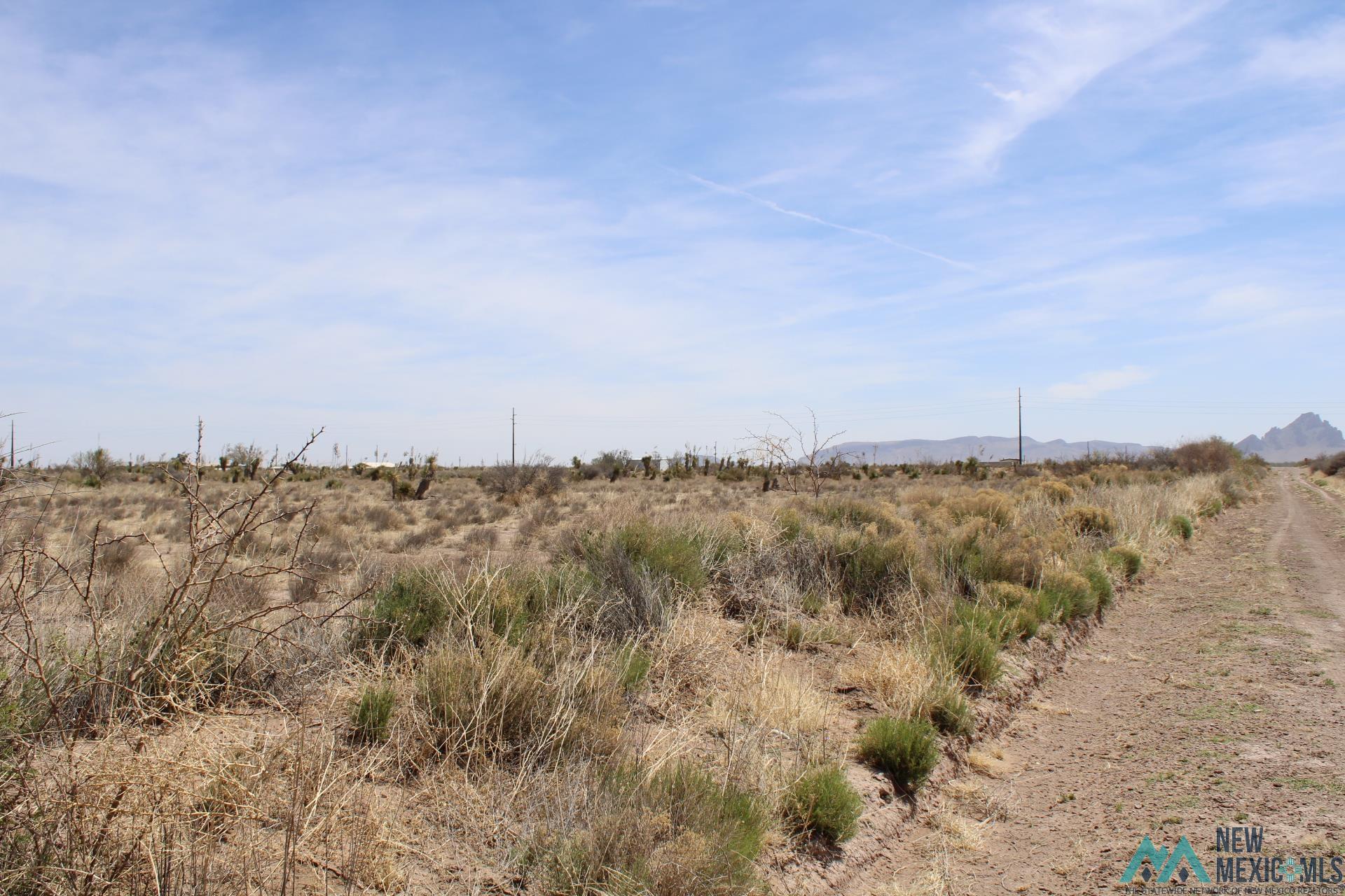 Challa Rd Sw, Deming, New Mexico image 9