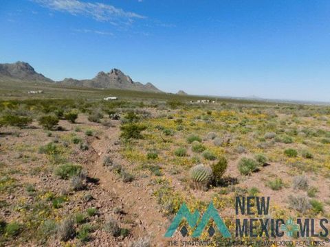 Vacant Land For Sale - San Pedro Rd Se<br/> Luna County, Deming, NM 88030