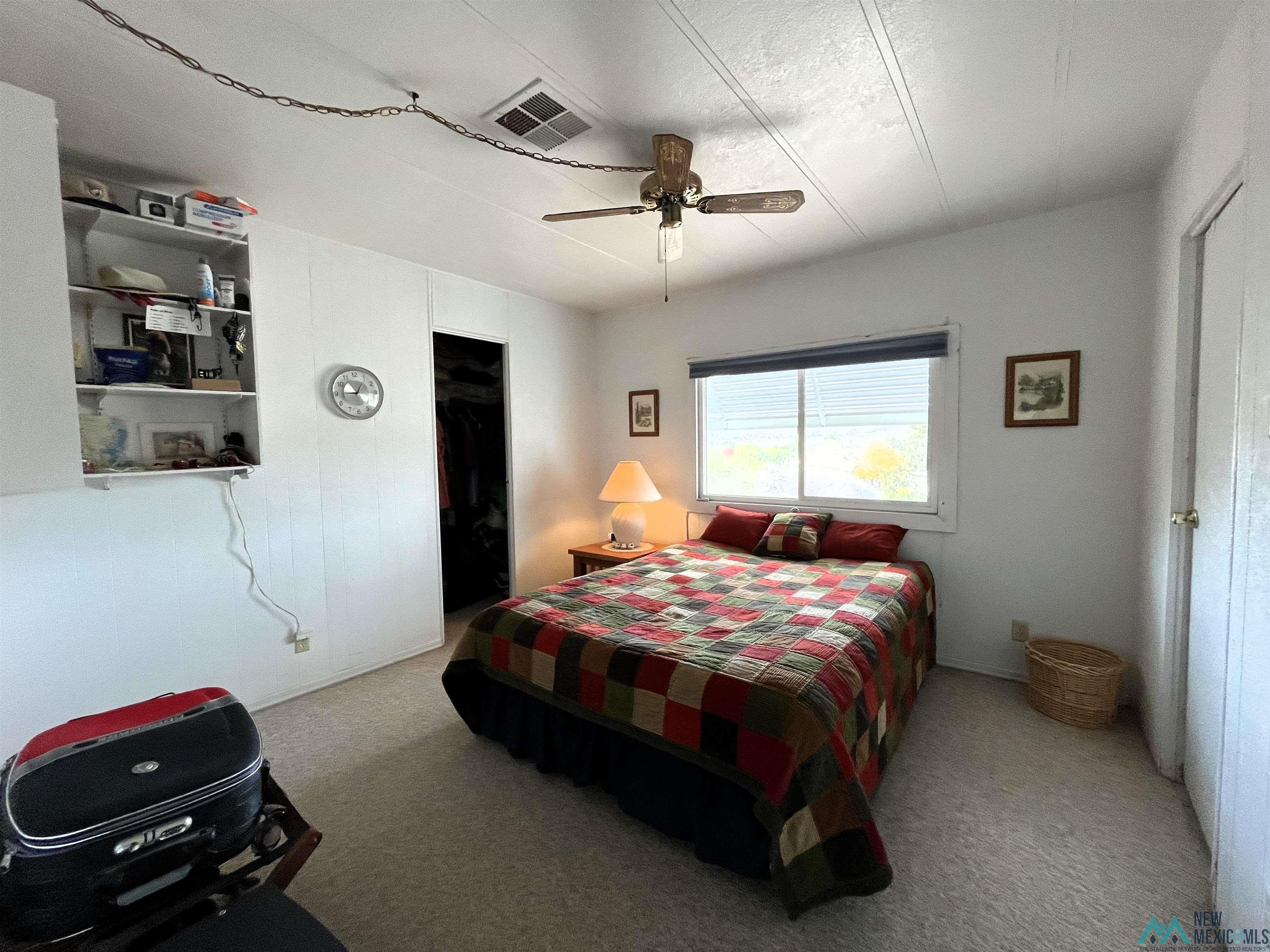 303 Hot Springs Road, Elephant Butte, New Mexico image 10