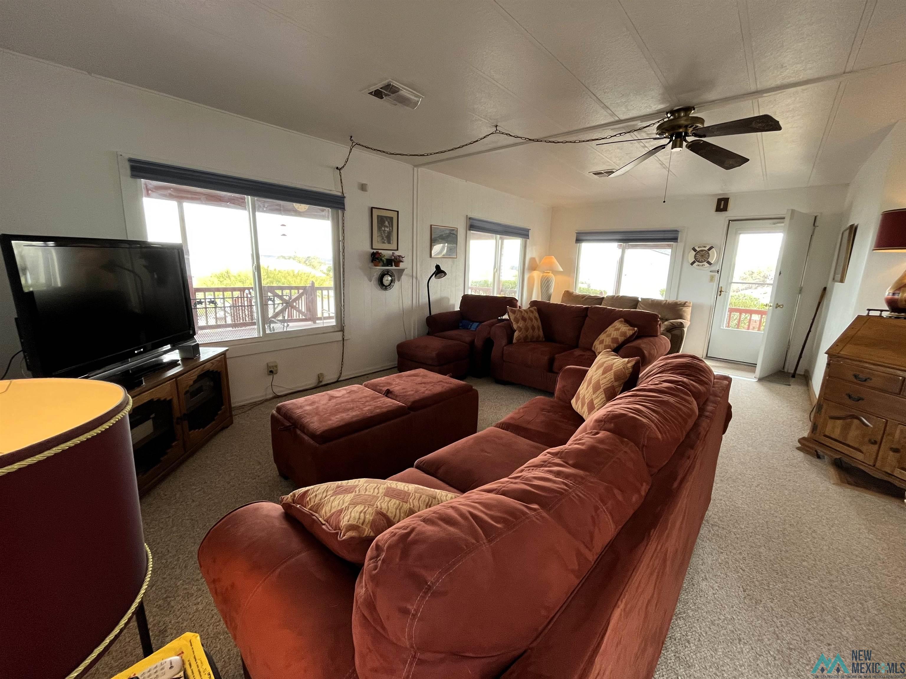 303 Hot Springs Road, Elephant Butte, New Mexico image 3